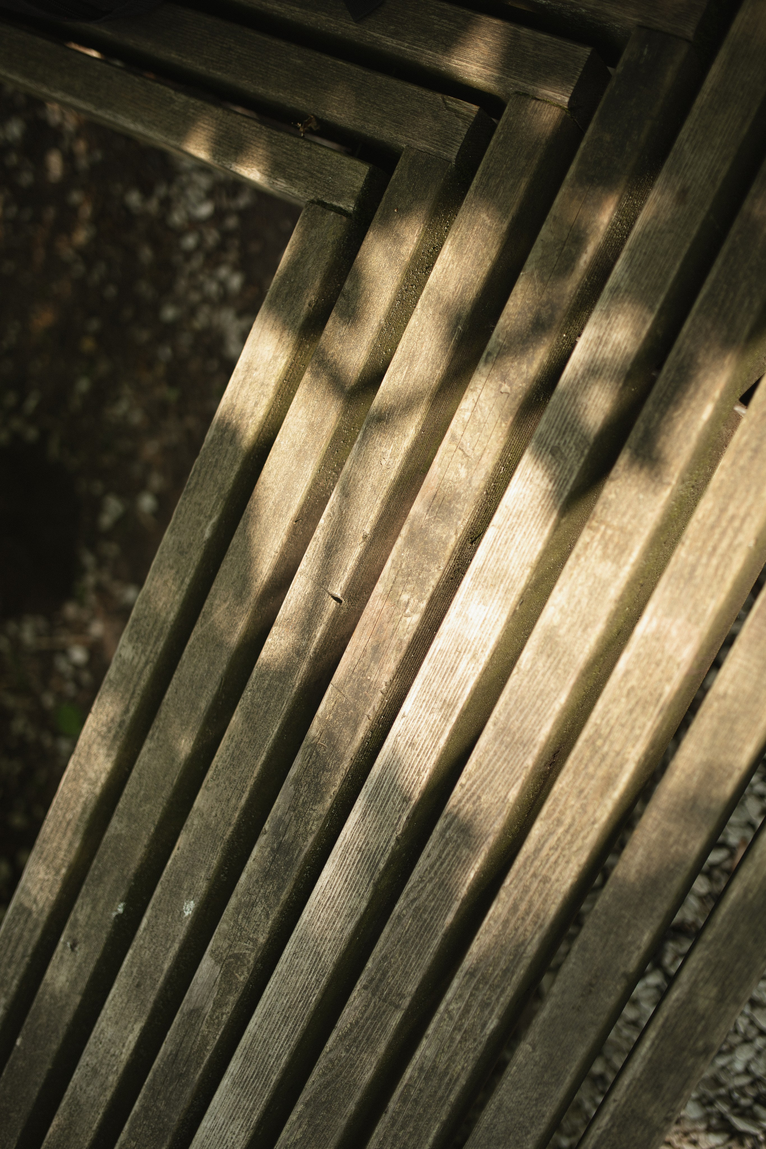 Фокус на свете. Фотограф Вышний Волочек/Тверь/Москва/Санкт-Петербург