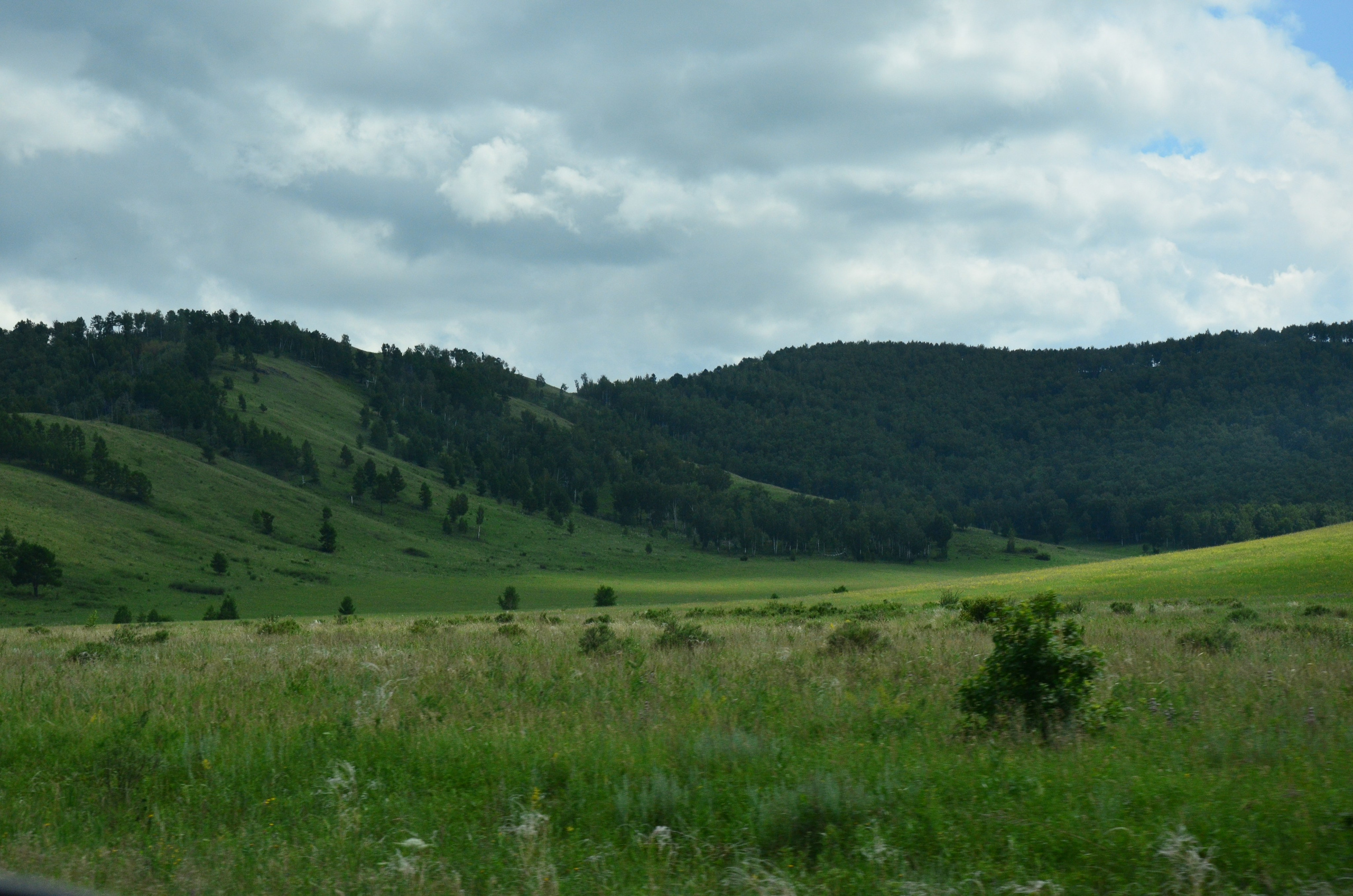 Дары природы. Фотограф viktor viktor