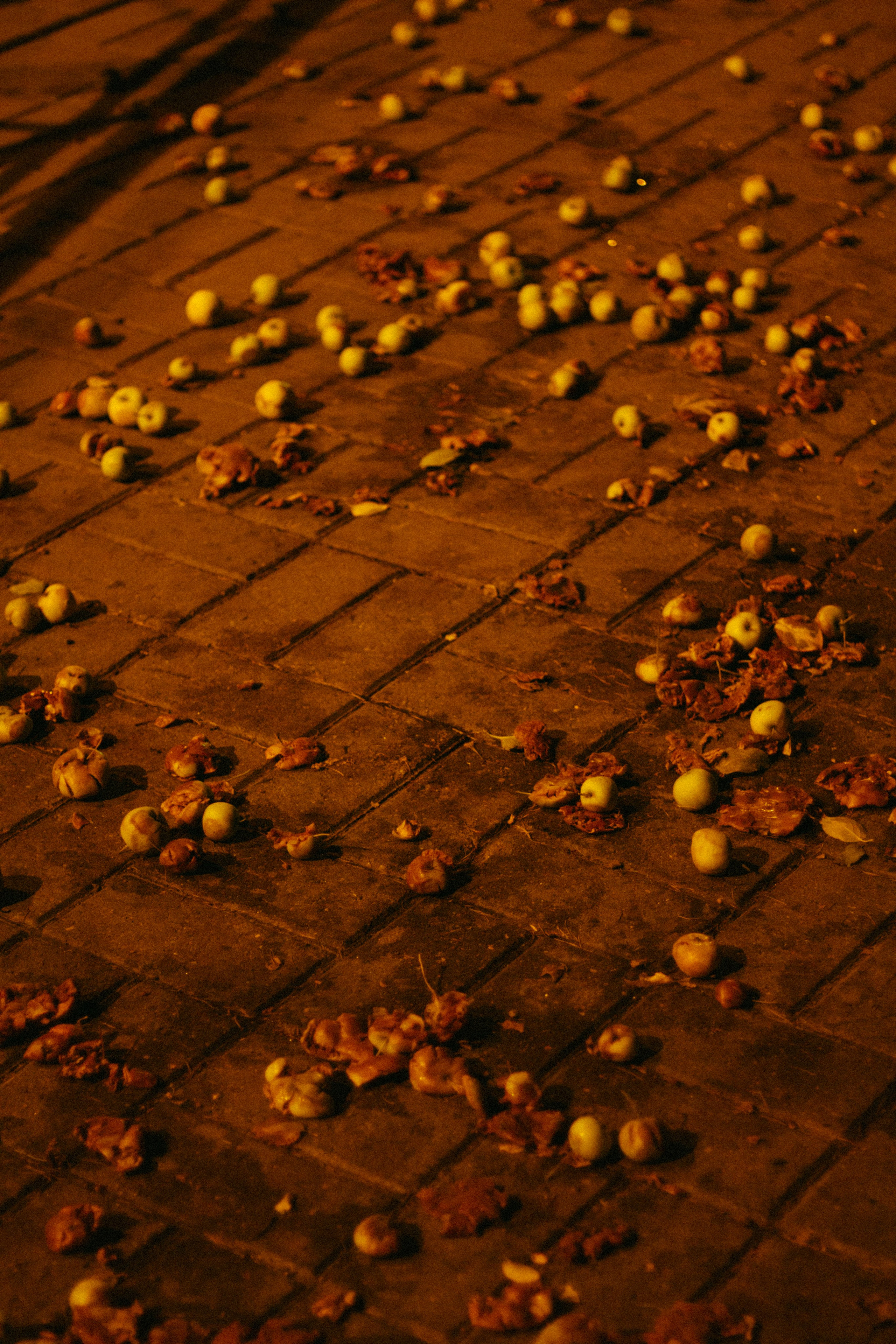 Середина нигде. Варвара Бабёнышева