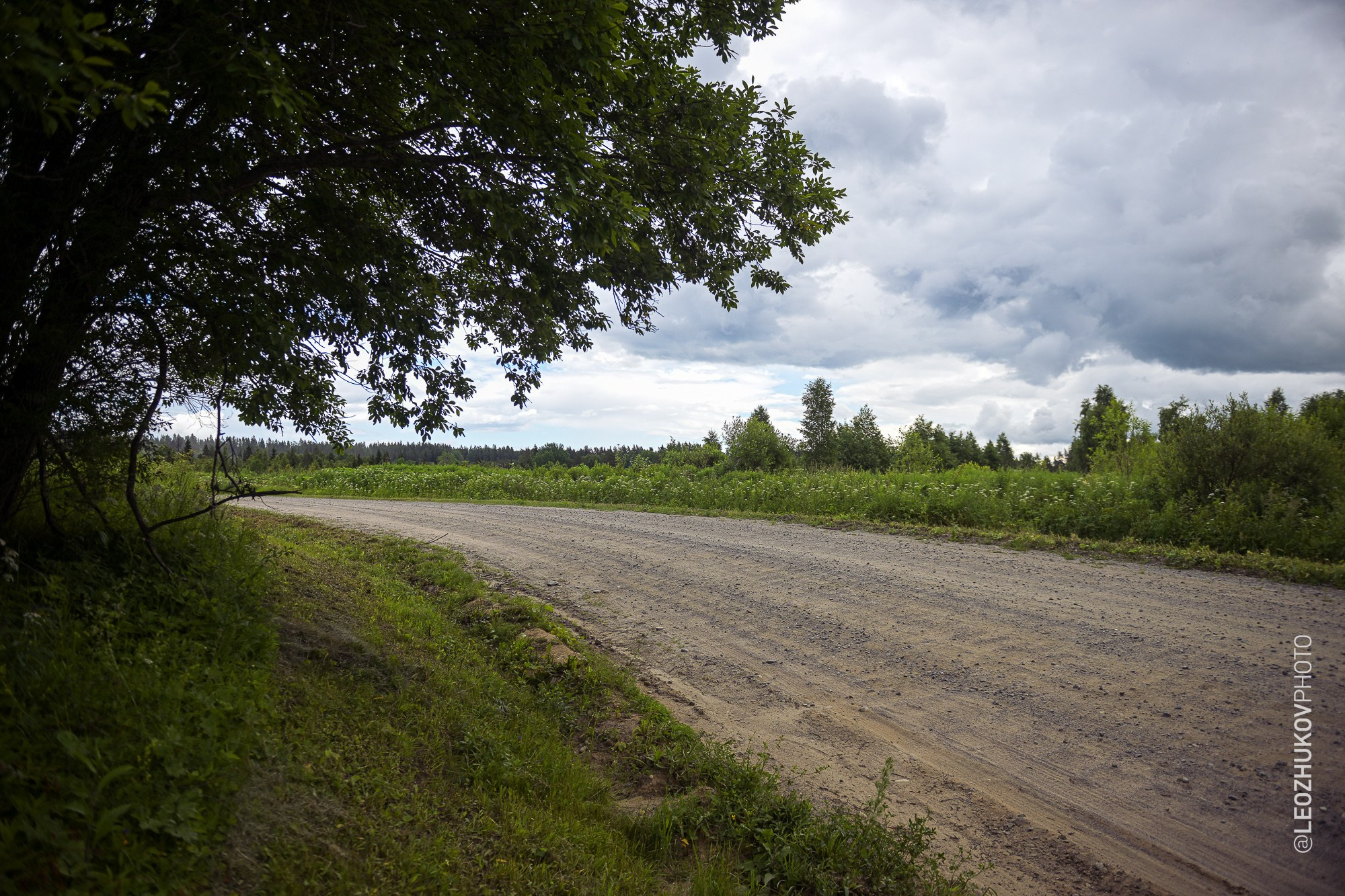 Rally Belye nochi 2026 by sports photographer Leo Zhukov