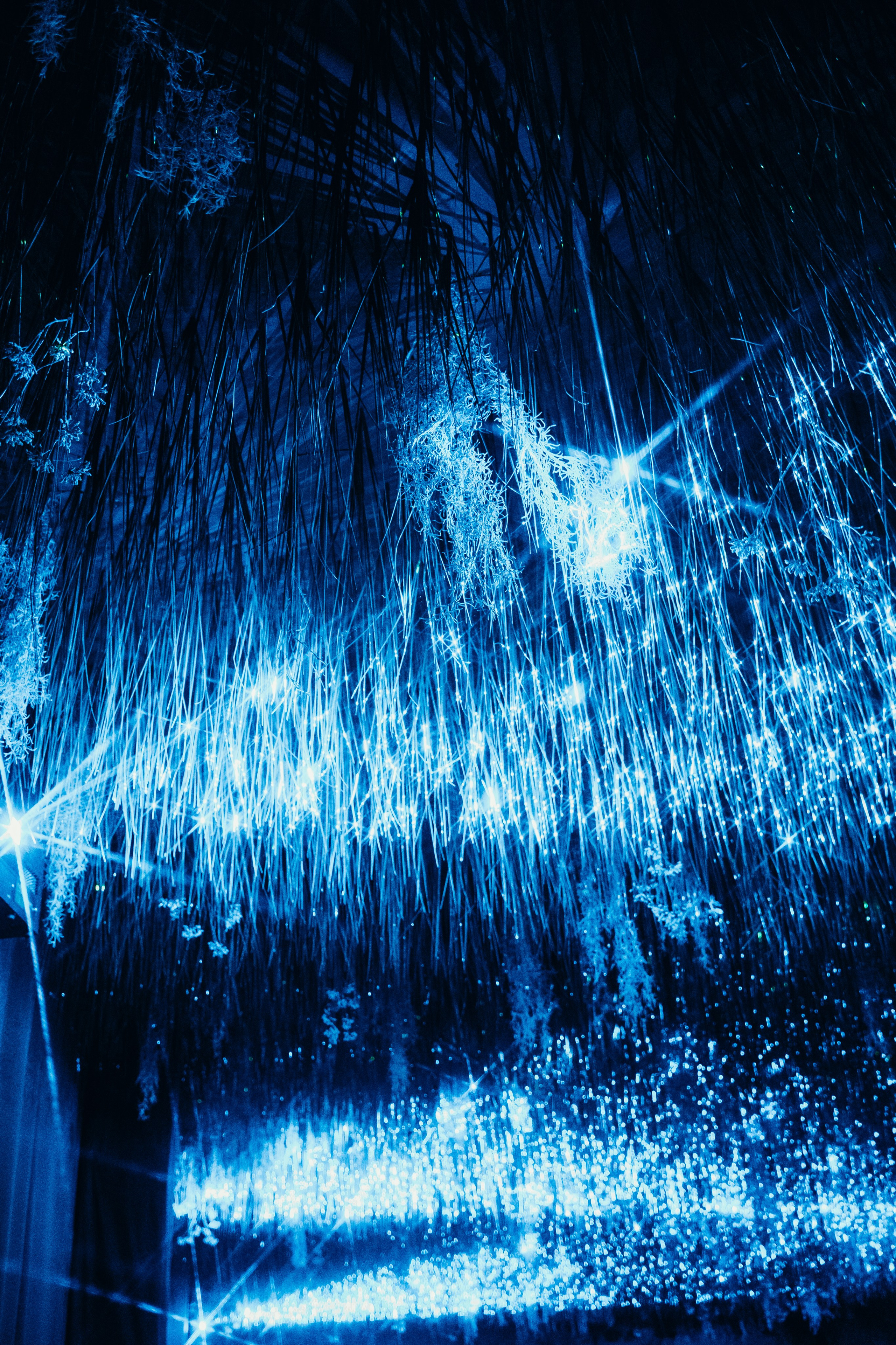 NUR 2024. Главная