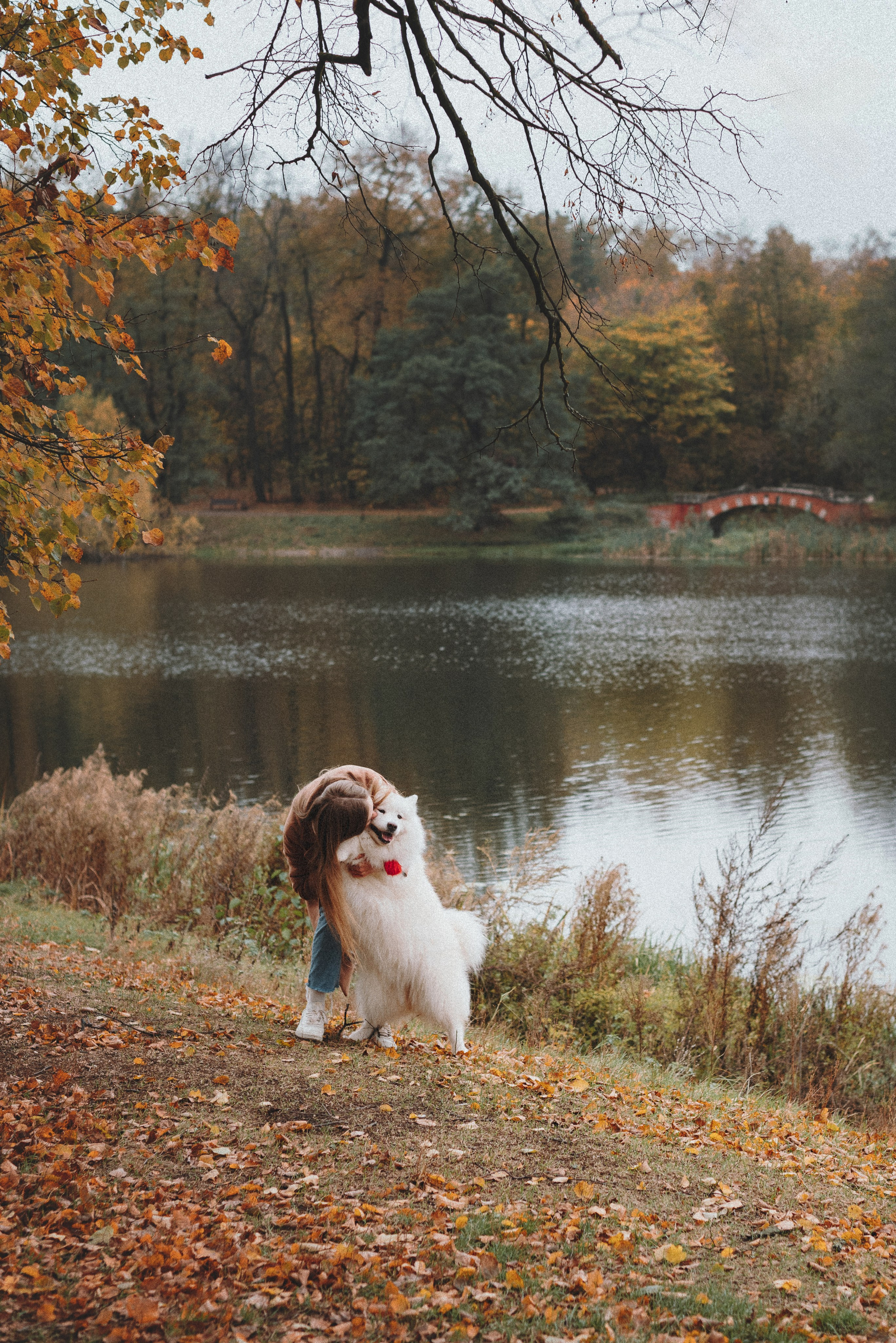 Valya & Varya. Natalia Finch Photography — Family, Kids & Pet Photographer in Chicago, IL
