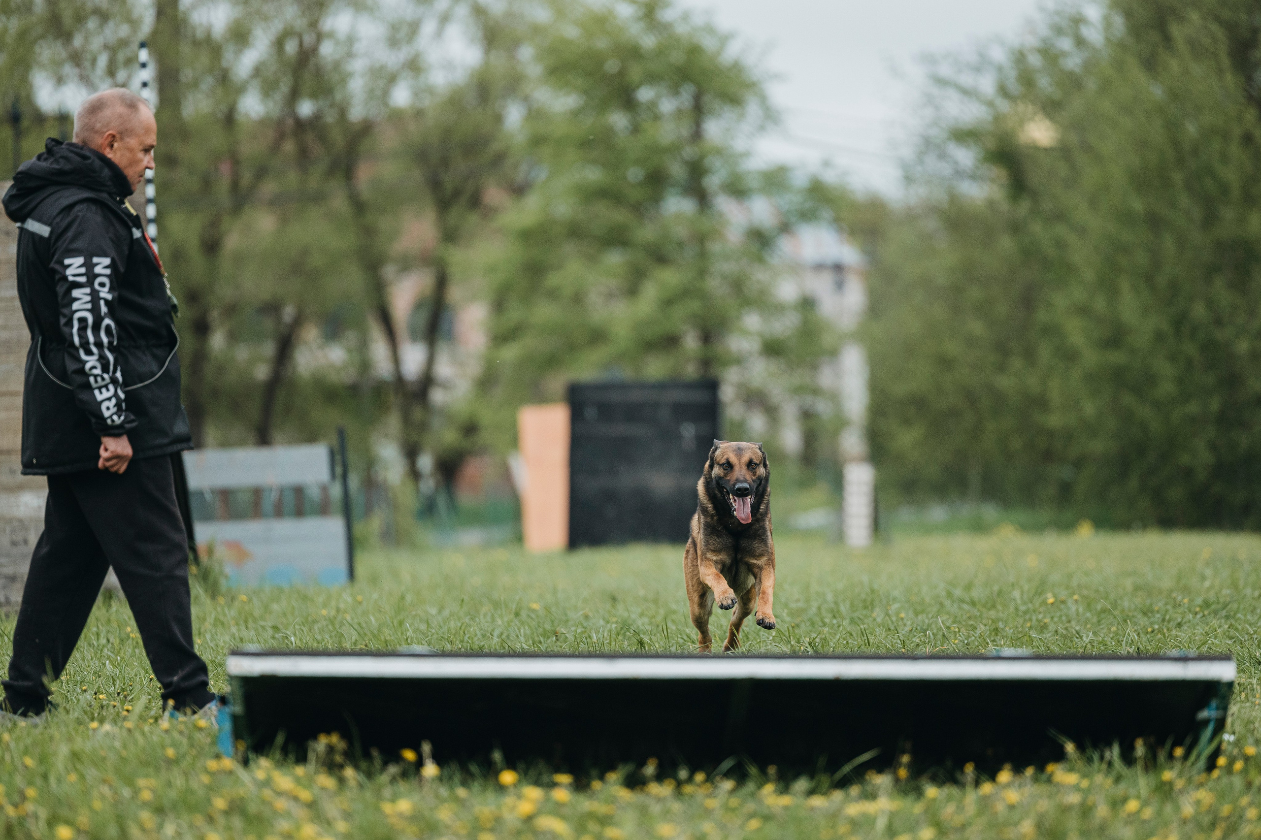 26.05.25 г. Пушкин квалификационные соревнования. Фотограф-анималист Анна Маринич