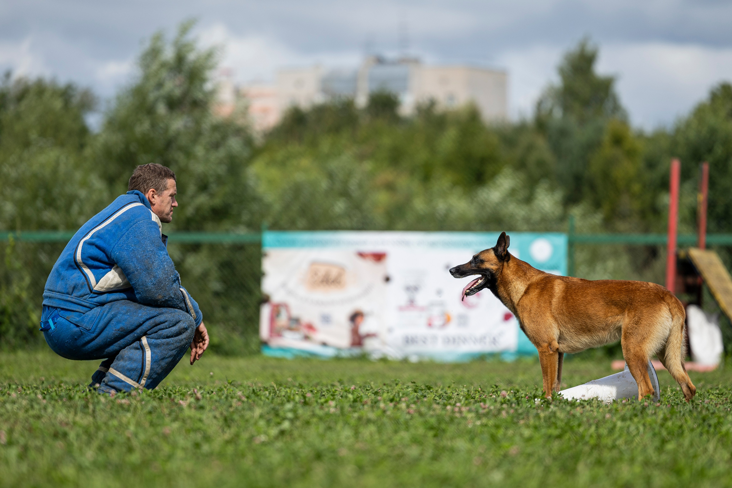 Соревнования по Мондьорингу г. Вологда 10-11.08.2024. Фотограф-анималист Анна Маринич