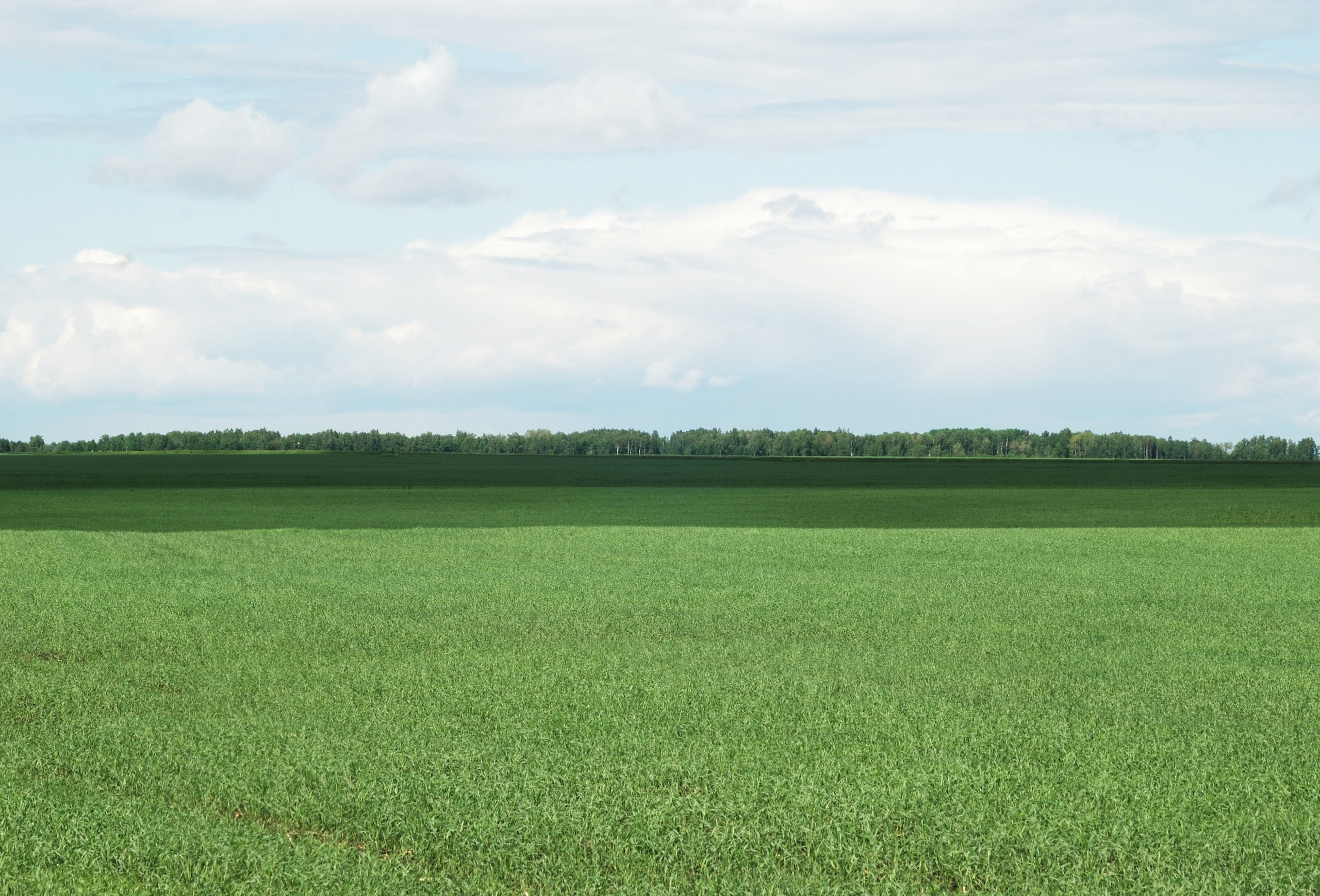 Этот прекрасный мир