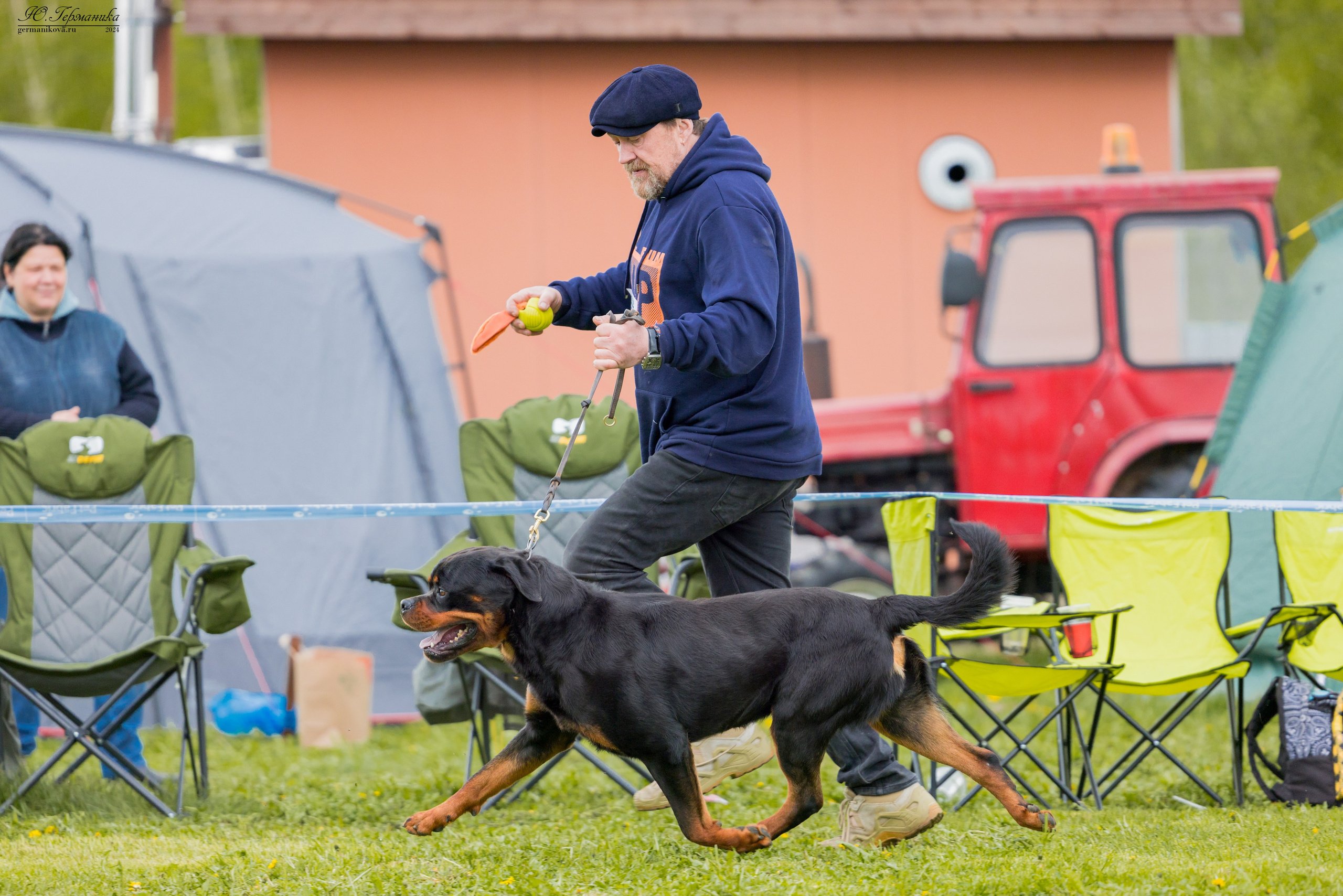 Нижний Новгород 11-12.05.2024 моно ротвейлеров. Фотограф-анималист Юлия Германика