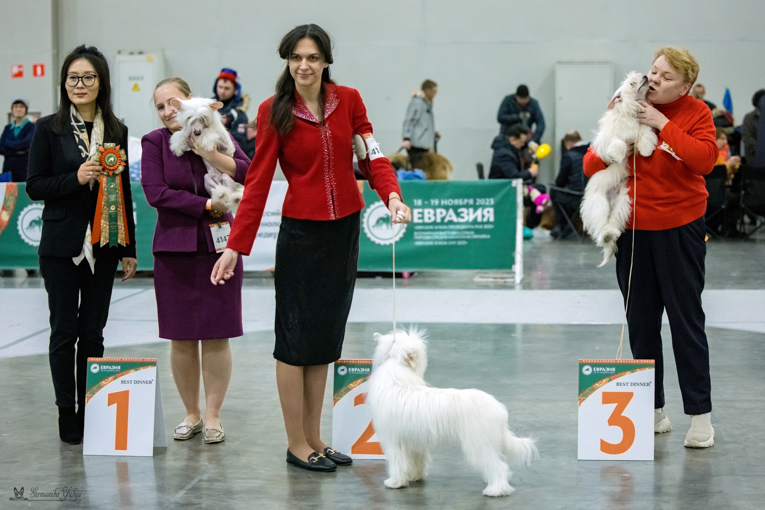 ЕВРАЗИЯ 18-19.11.2023. Фотограф-анималист Юлия Германика