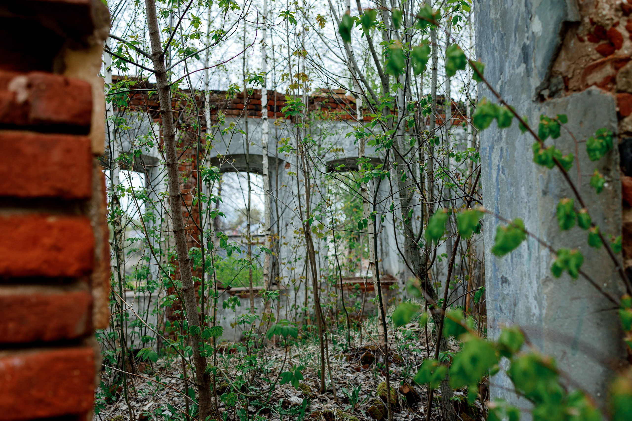 Непривычная фотография. Репортажный и портретный фотограф в Москве Саханцева Анна