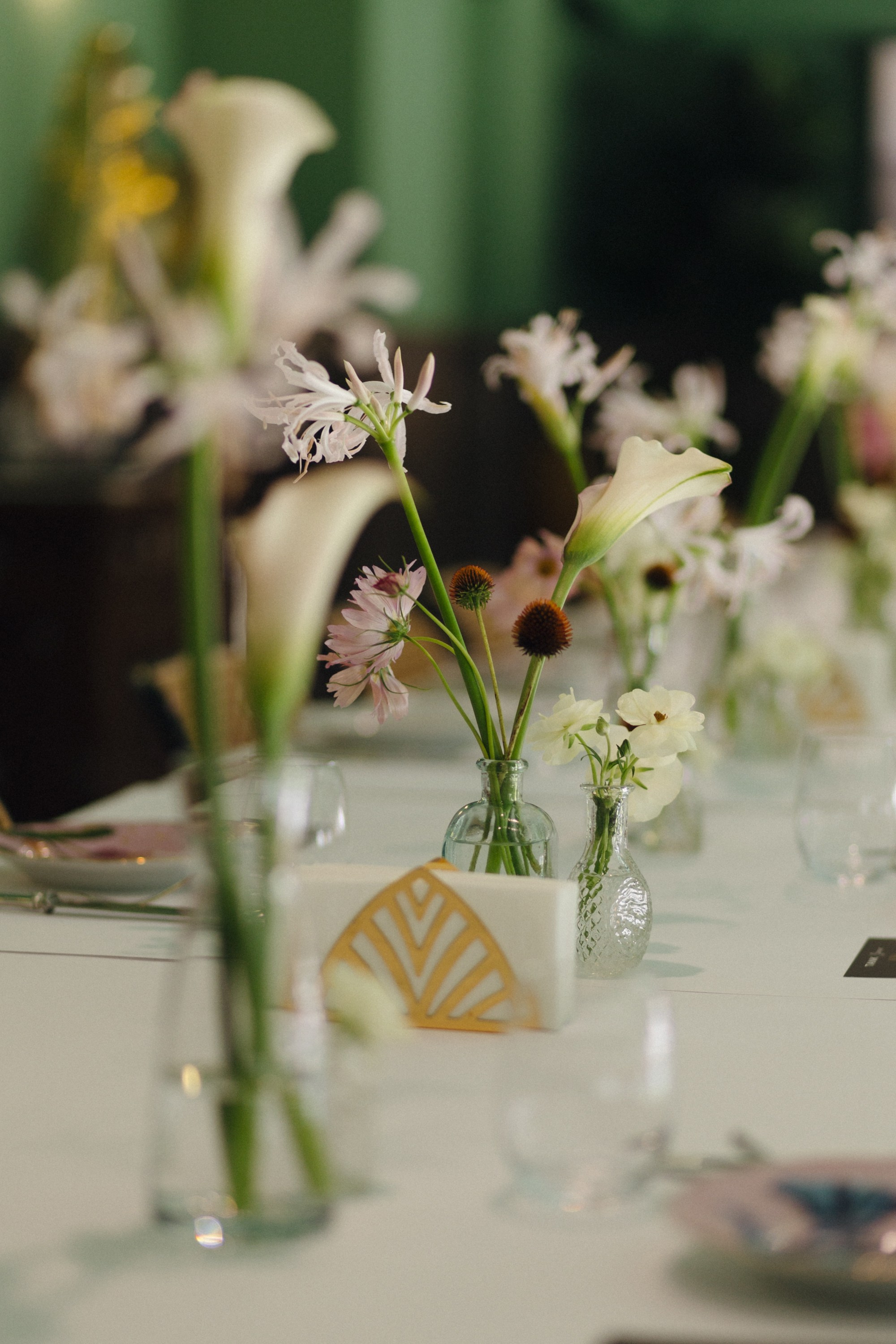 MINAxTANK. Фотограф| Санкт-Петербург| Виктория Хайдарова