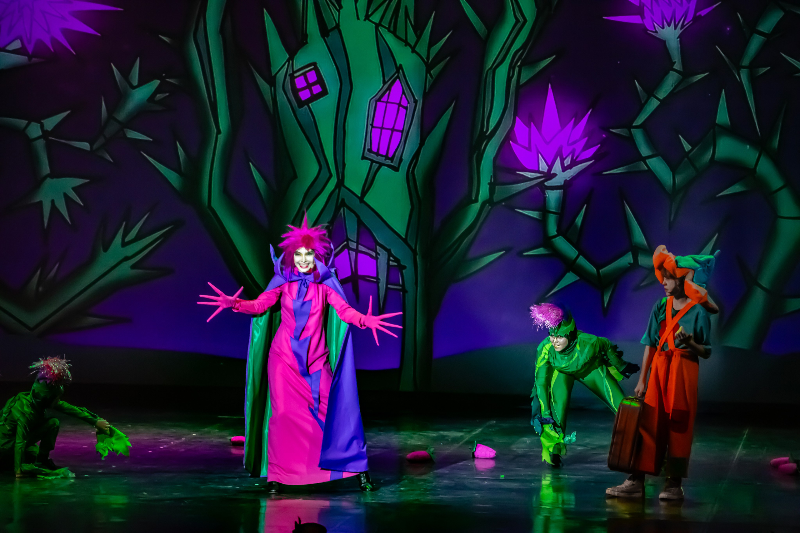 Мюзикл «Незнайка в царстве малюток» премьера Сочи солнышки и Сочи Соло. Фотограф в Сочи Юрий Шептаев