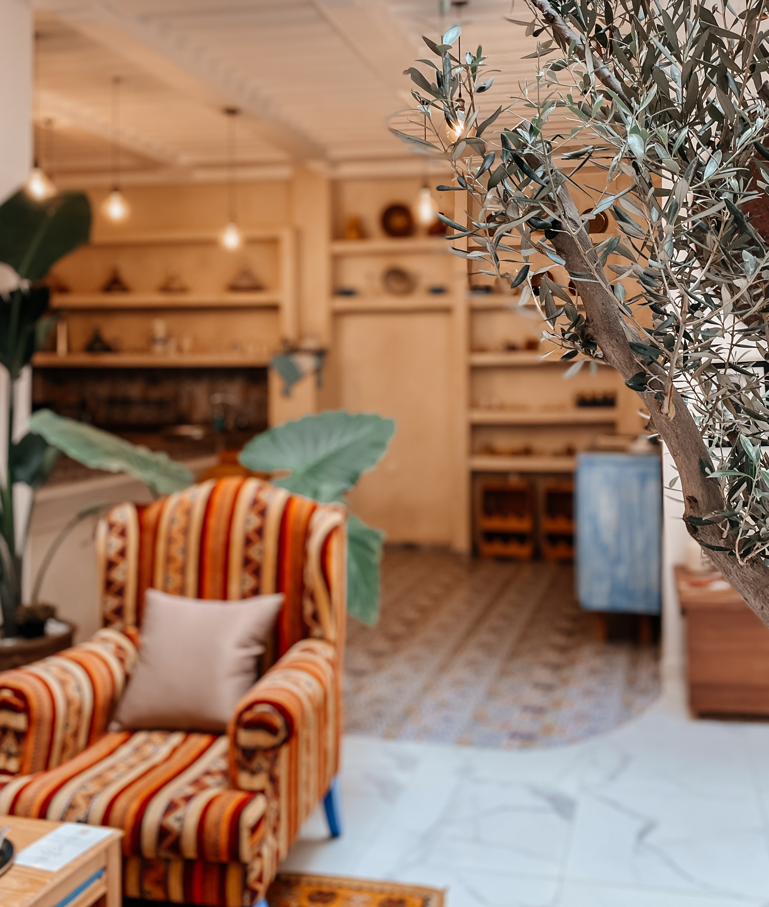 Riad. Olga Popova — Photographer in Morocco