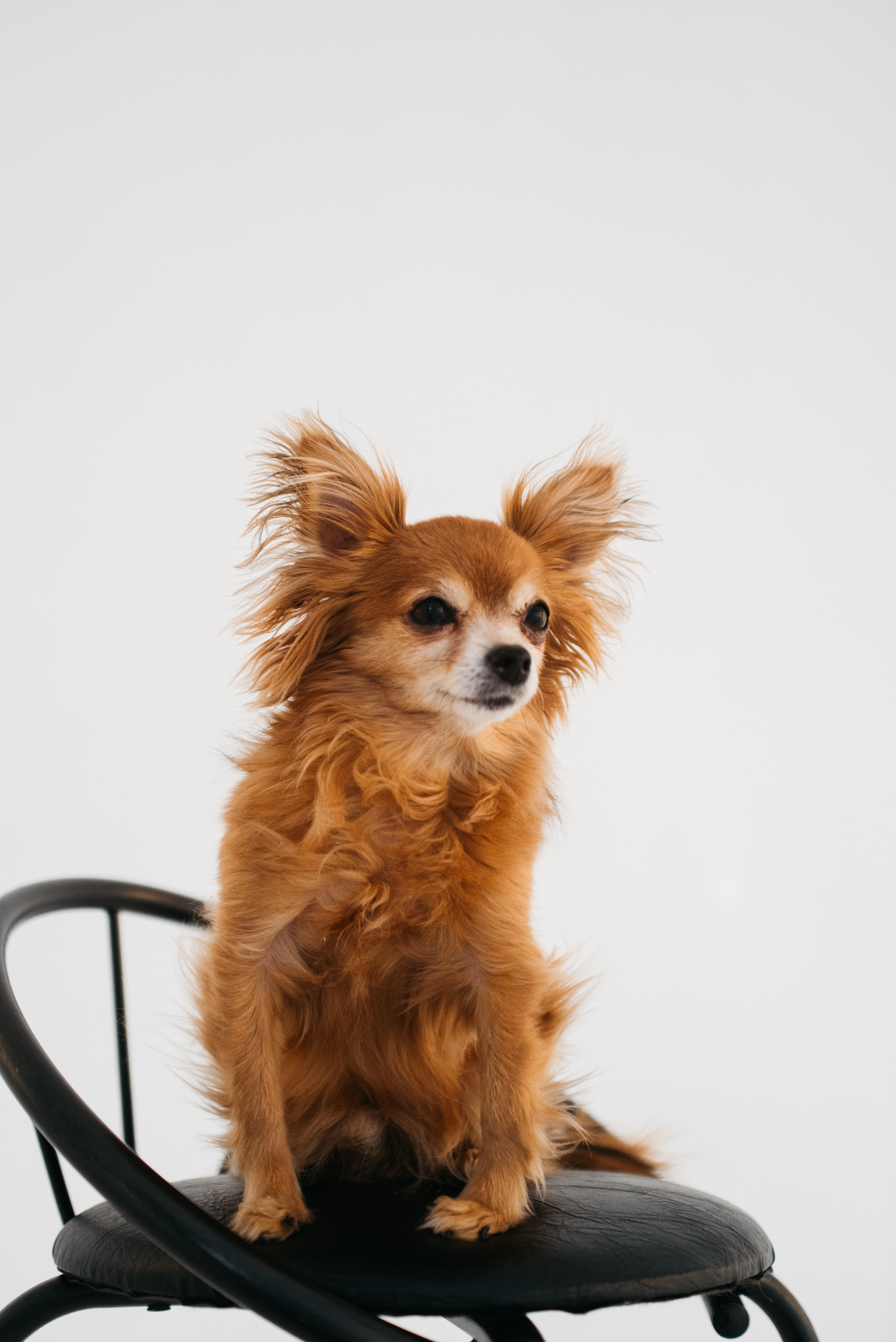 Анастасия дизайнер кухни. Свадебный фотограф Ижевск Петр Шишков