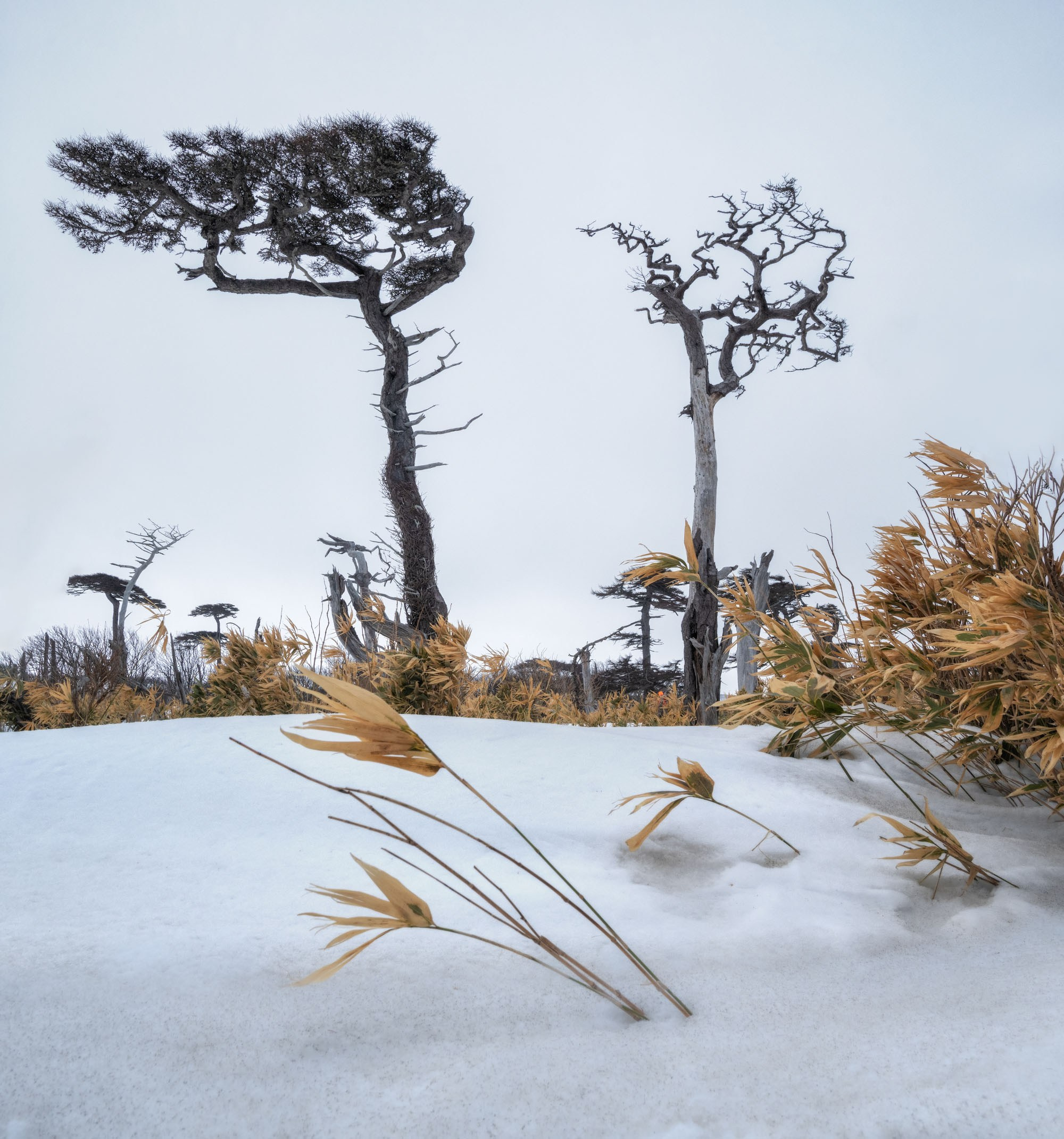 Фотогалерея Зимние Курилы