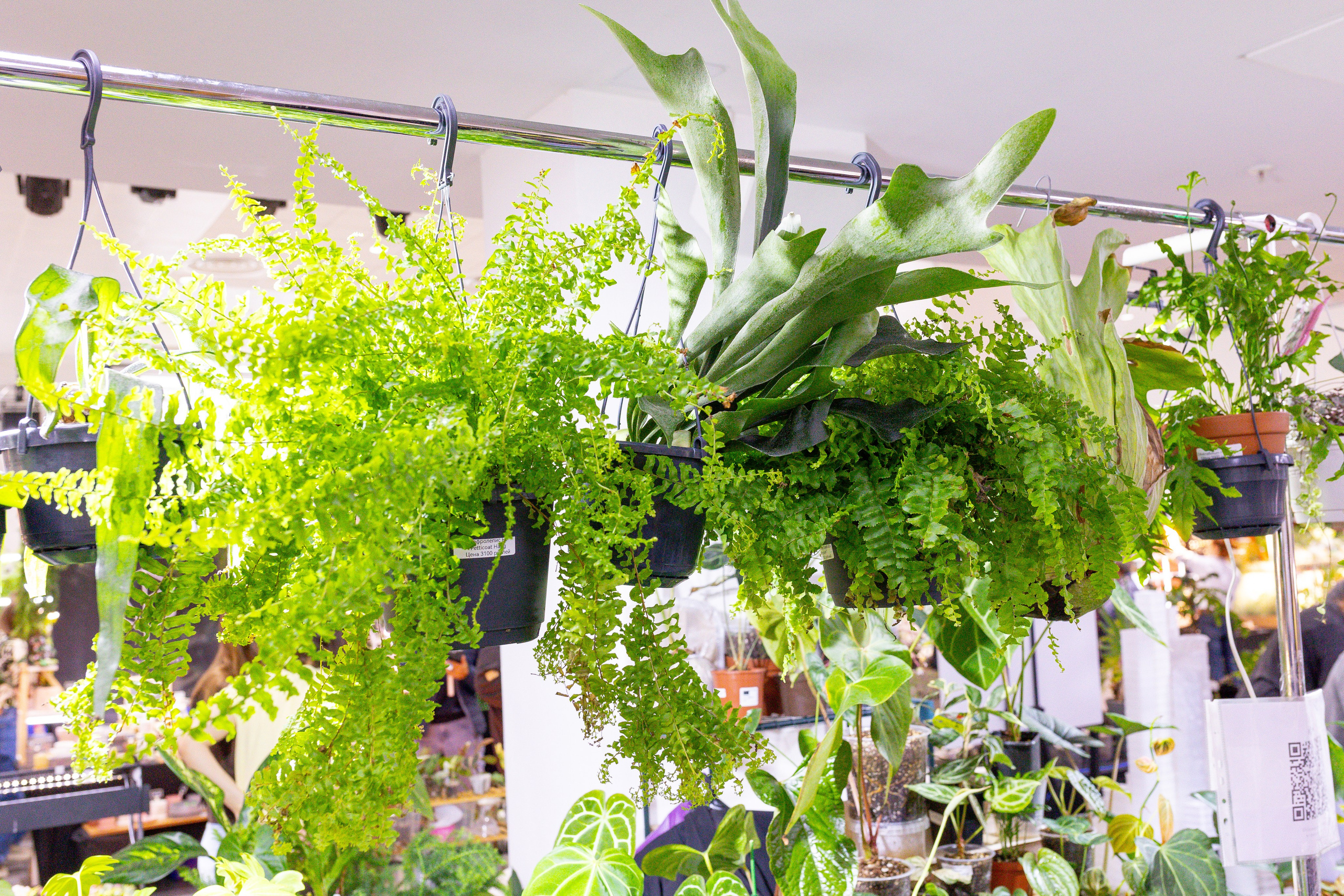 Монстериум 11–12 октября. Александра Куликова фотограф, Москва