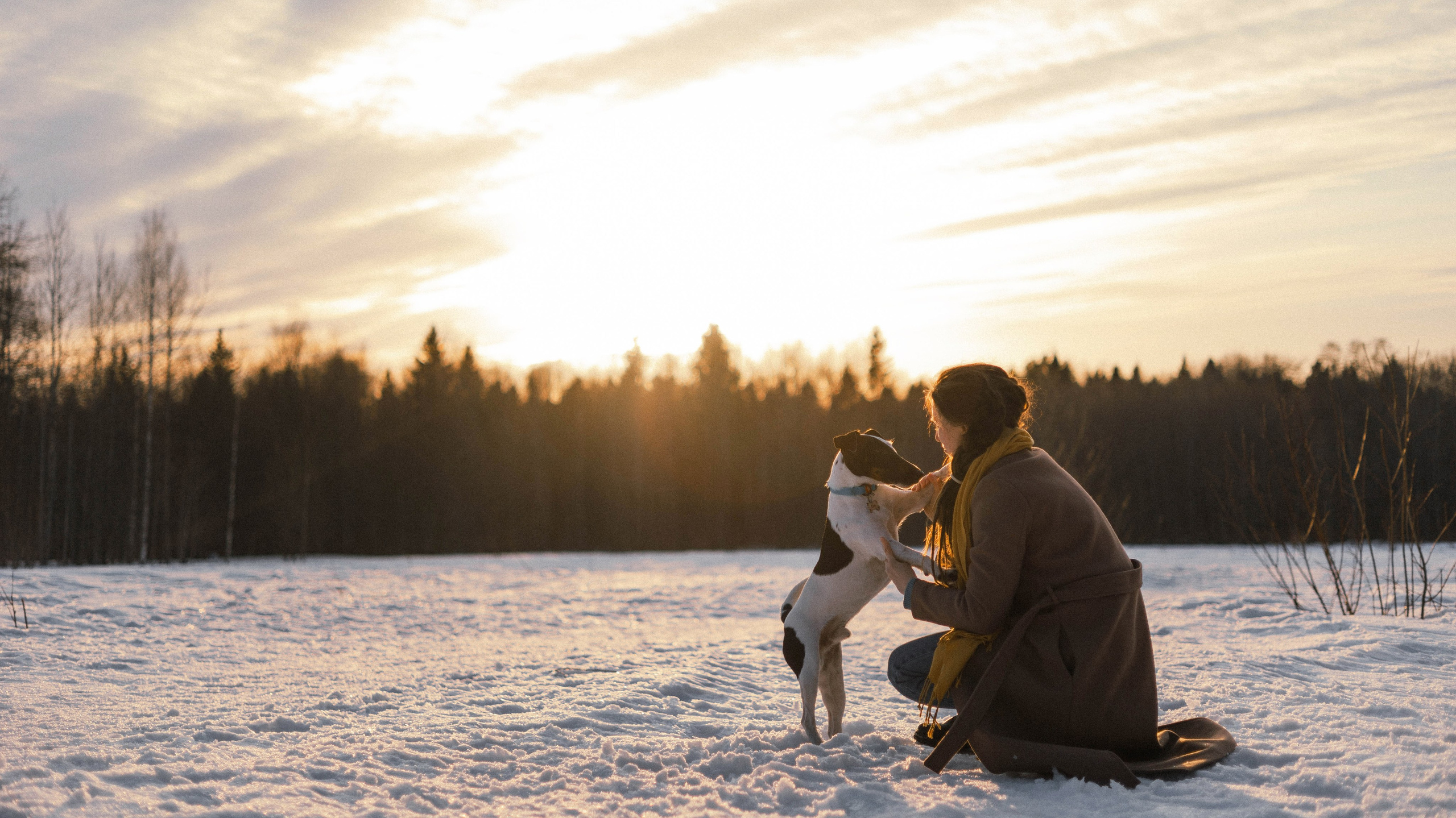 Ольга и Сэм. Фотограф-анималист Богданова Полина
