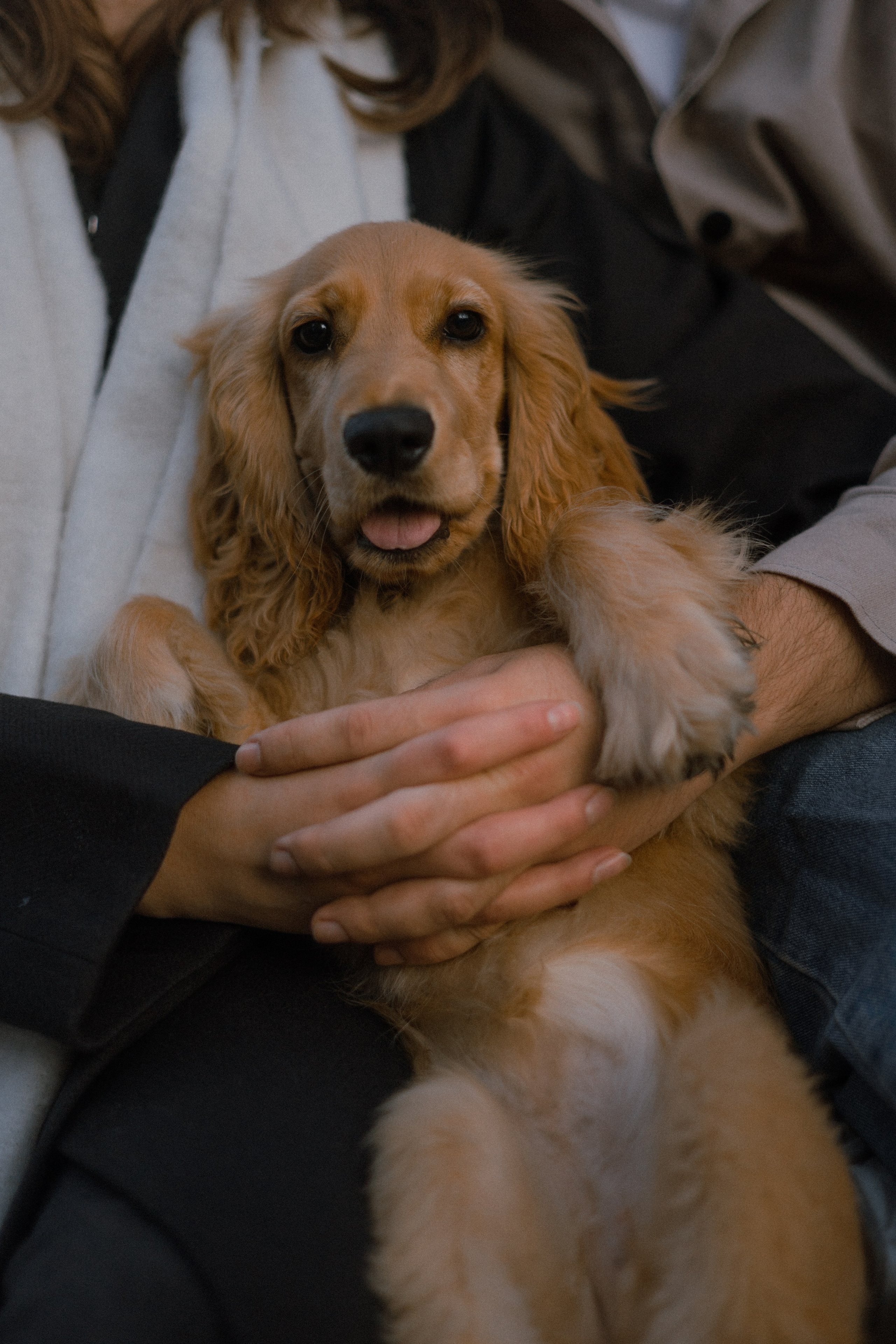 Аня, Андрей и Юта. Фотограф-анималист Богданова Полина