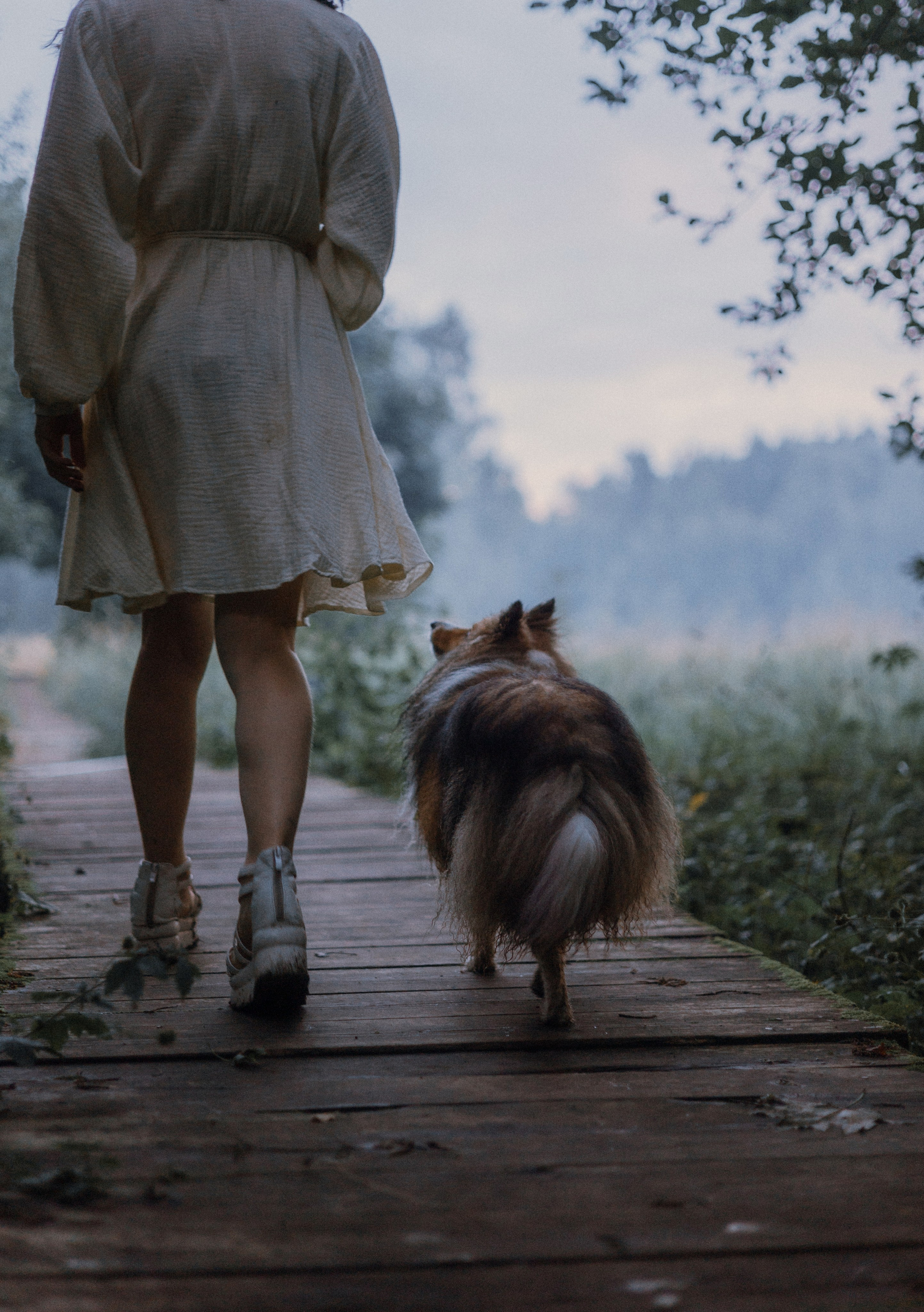 Аня и Скай. Фотограф-анималист Богданова Полина