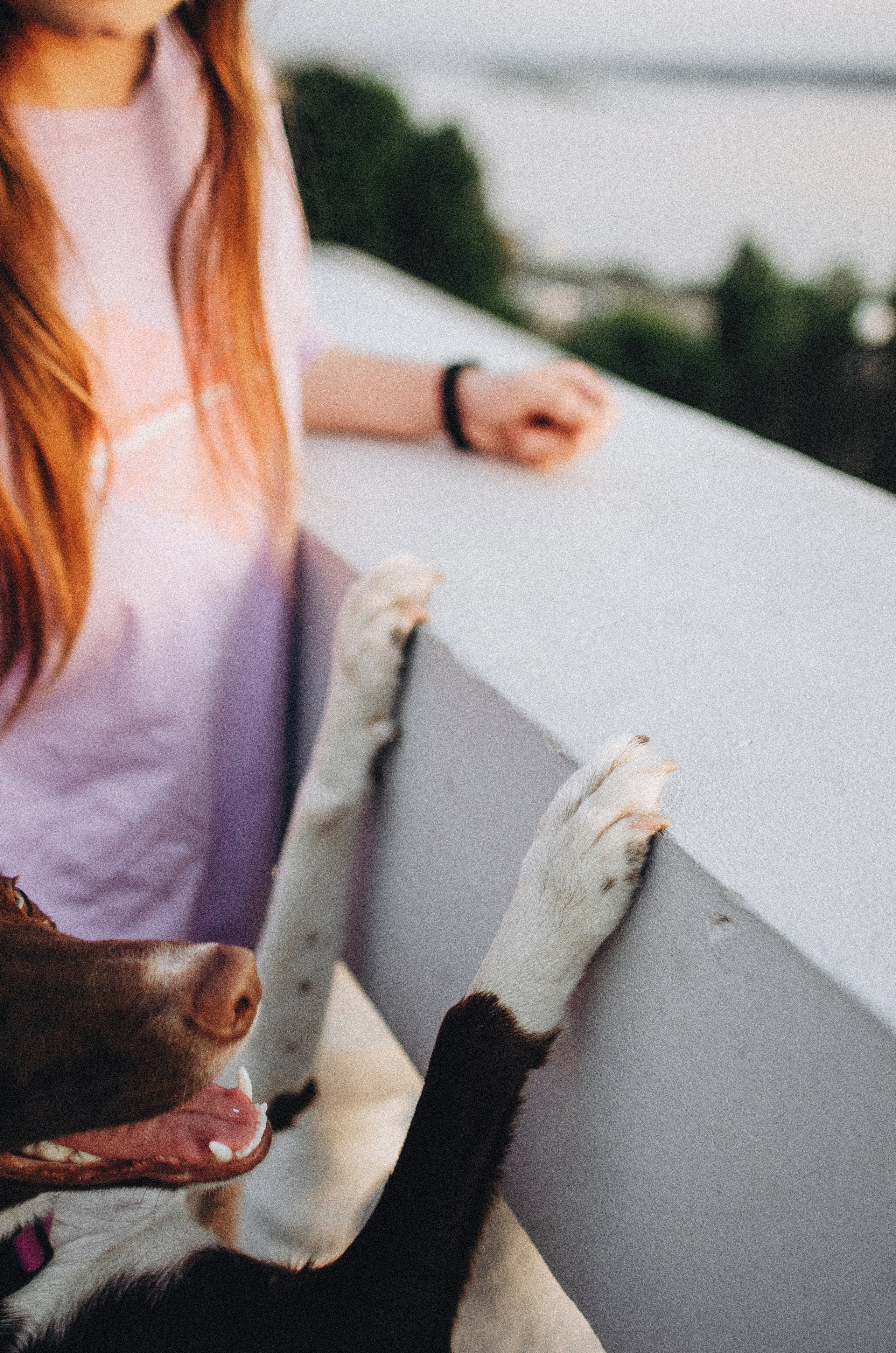 Вика и Эсса. Фотограф-анималист Богданова Полина