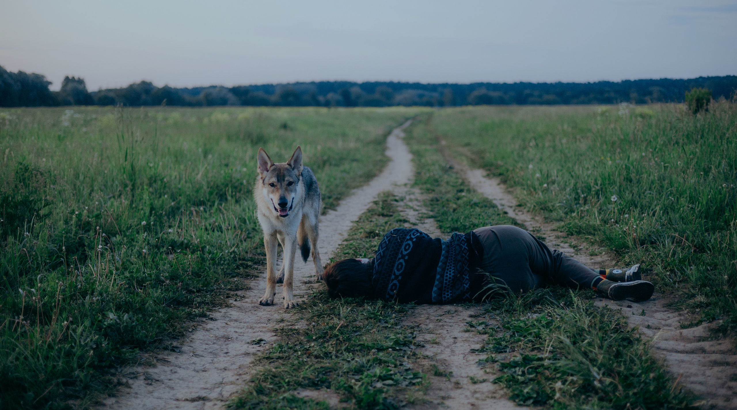Маша и Дэрил. Фотограф-анималист Богданова Полина