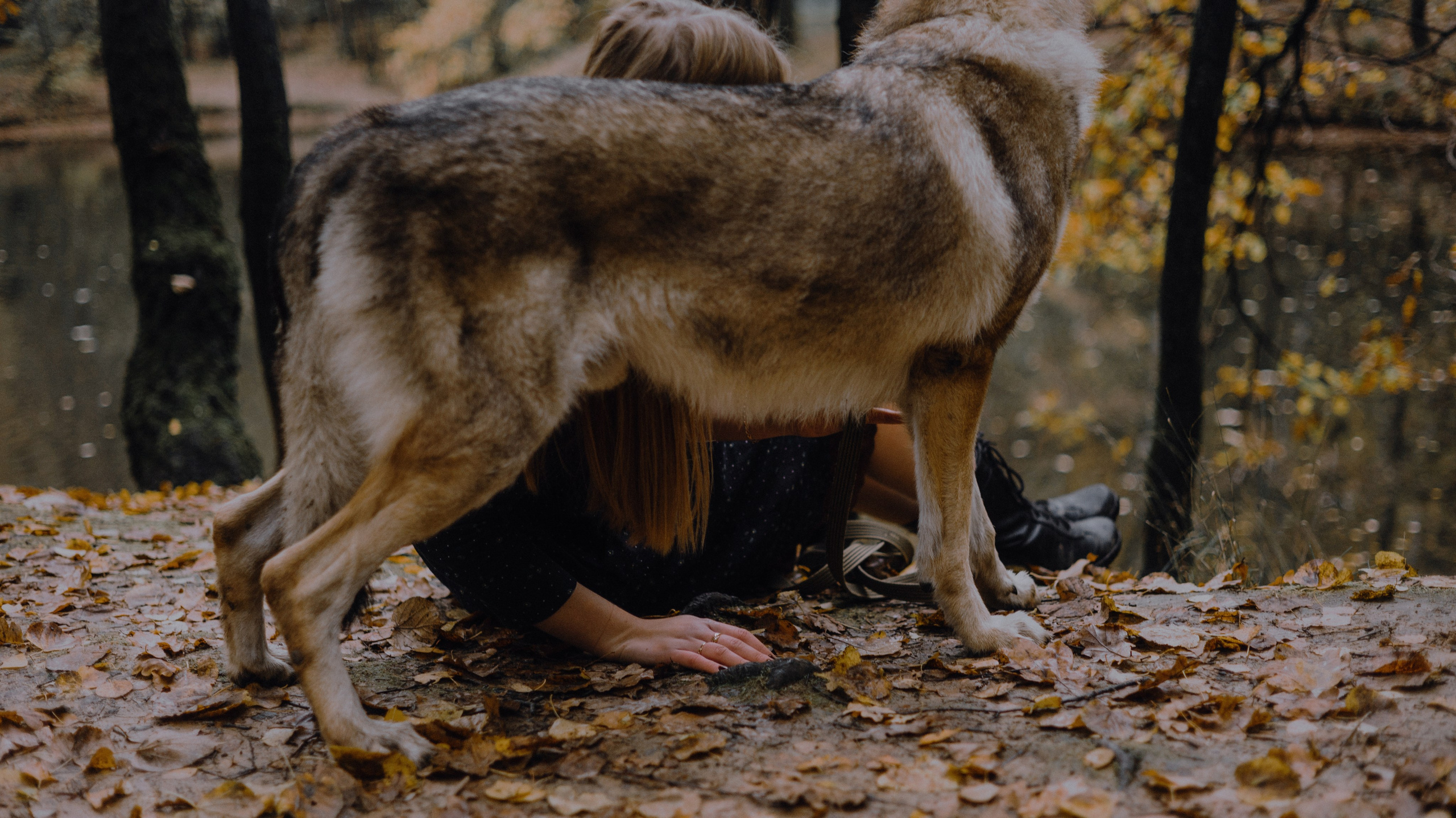 Полина и Вегард. Фотограф-анималист Богданова Полина