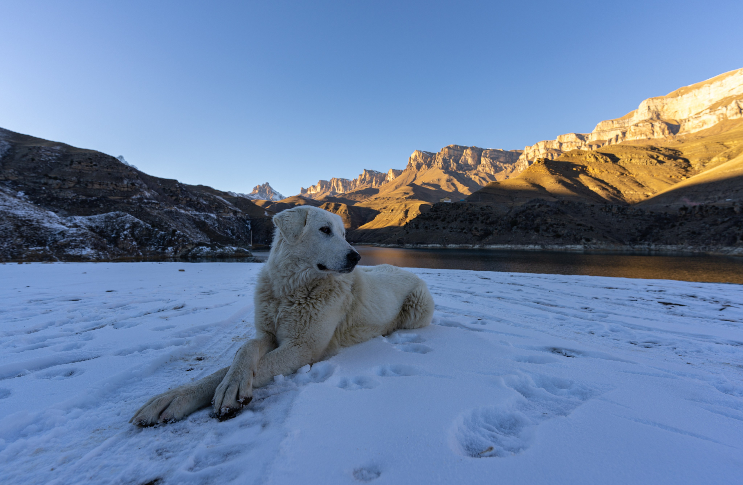 ДЛЯ ДУШИ. Фотограф в Санкт-Петербурге Данил Макаров