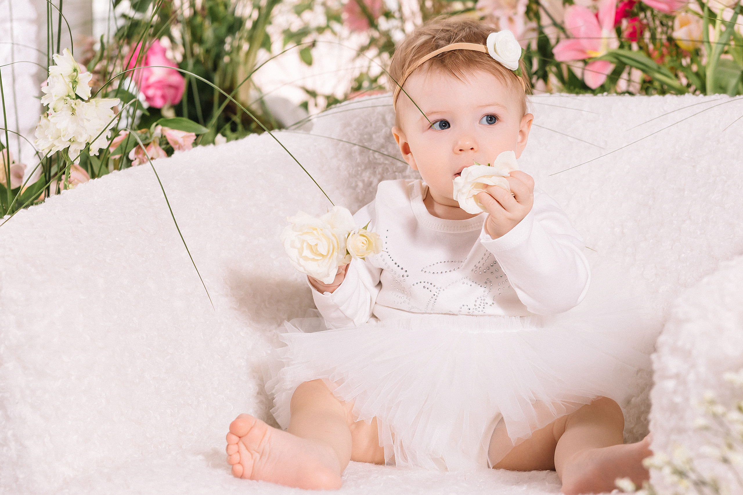 Фотопроекты в Иваново. Свадебный фотограф в Иваново Гитарина Черняева