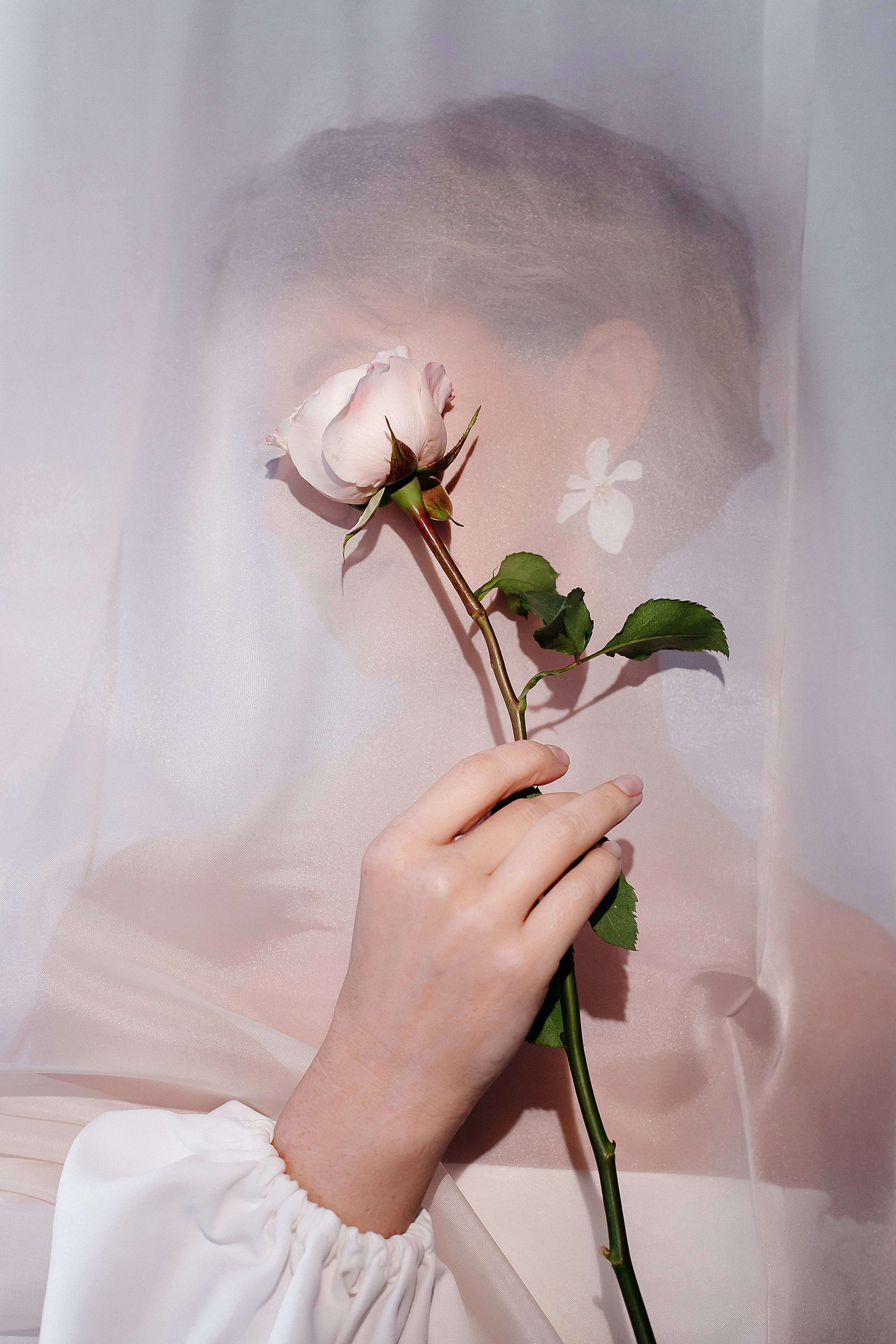 Фотопроекты в Иваново. Свадебный фотограф в Иваново Гитарина Черняева