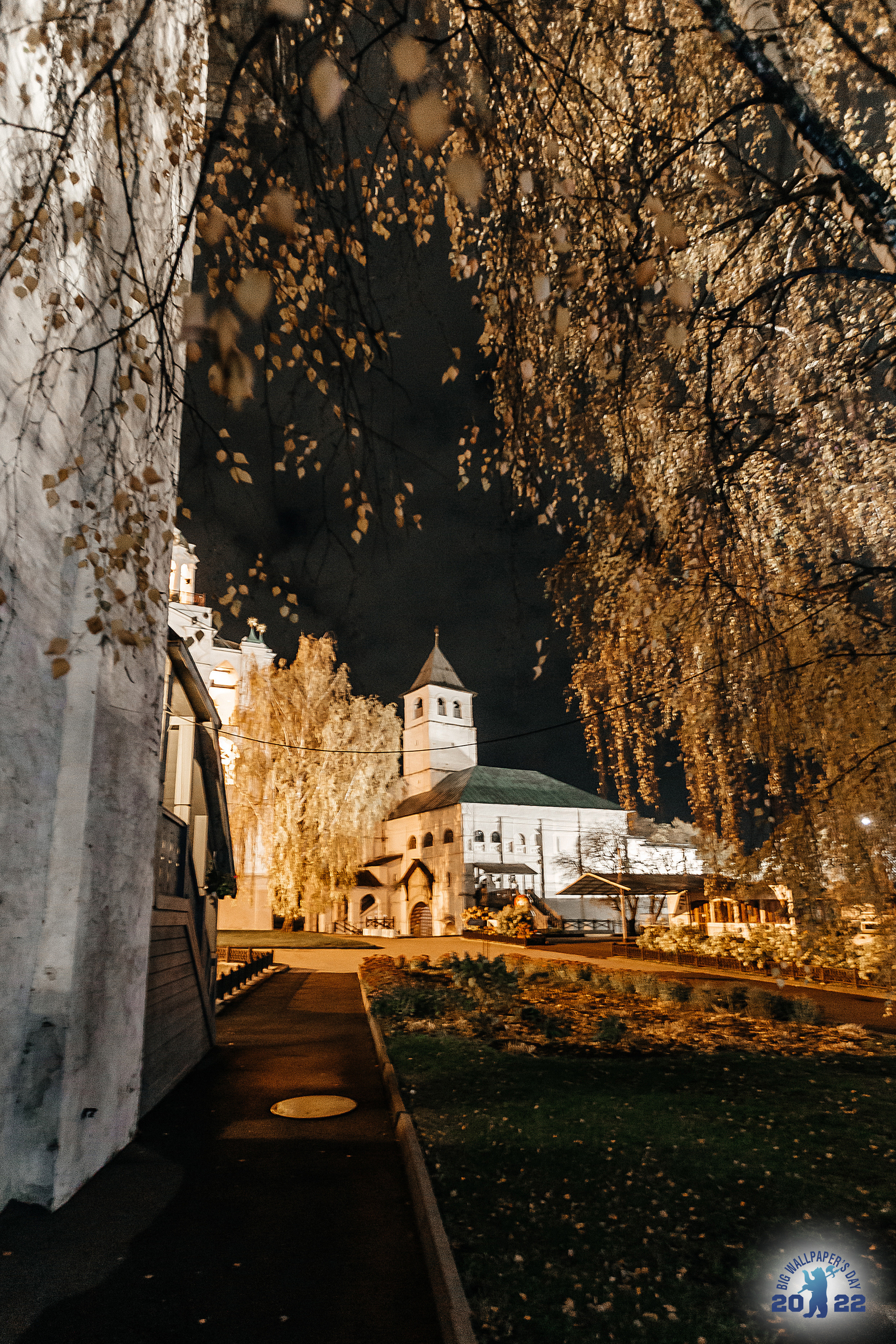 Репортажная съёмка. Свадебный фотограф в Иваново Гитарина Черняева