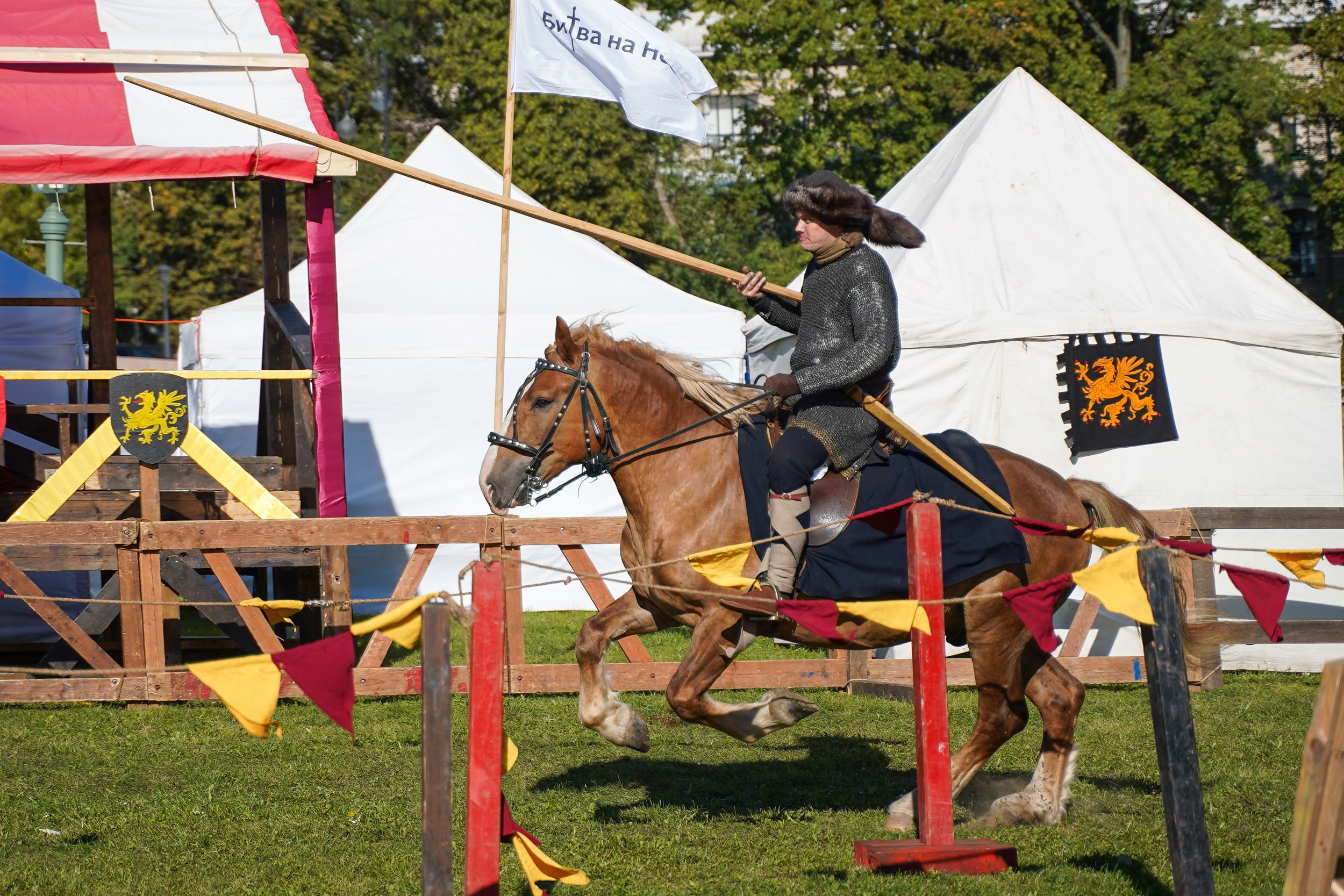 Рыцарский турнир в рамках фестиваля «Битва на Неве» Санкт-Петербург 2024 г. Фотограф-анималист, портретный фотограф в Чебоксарах Мария Садыкова