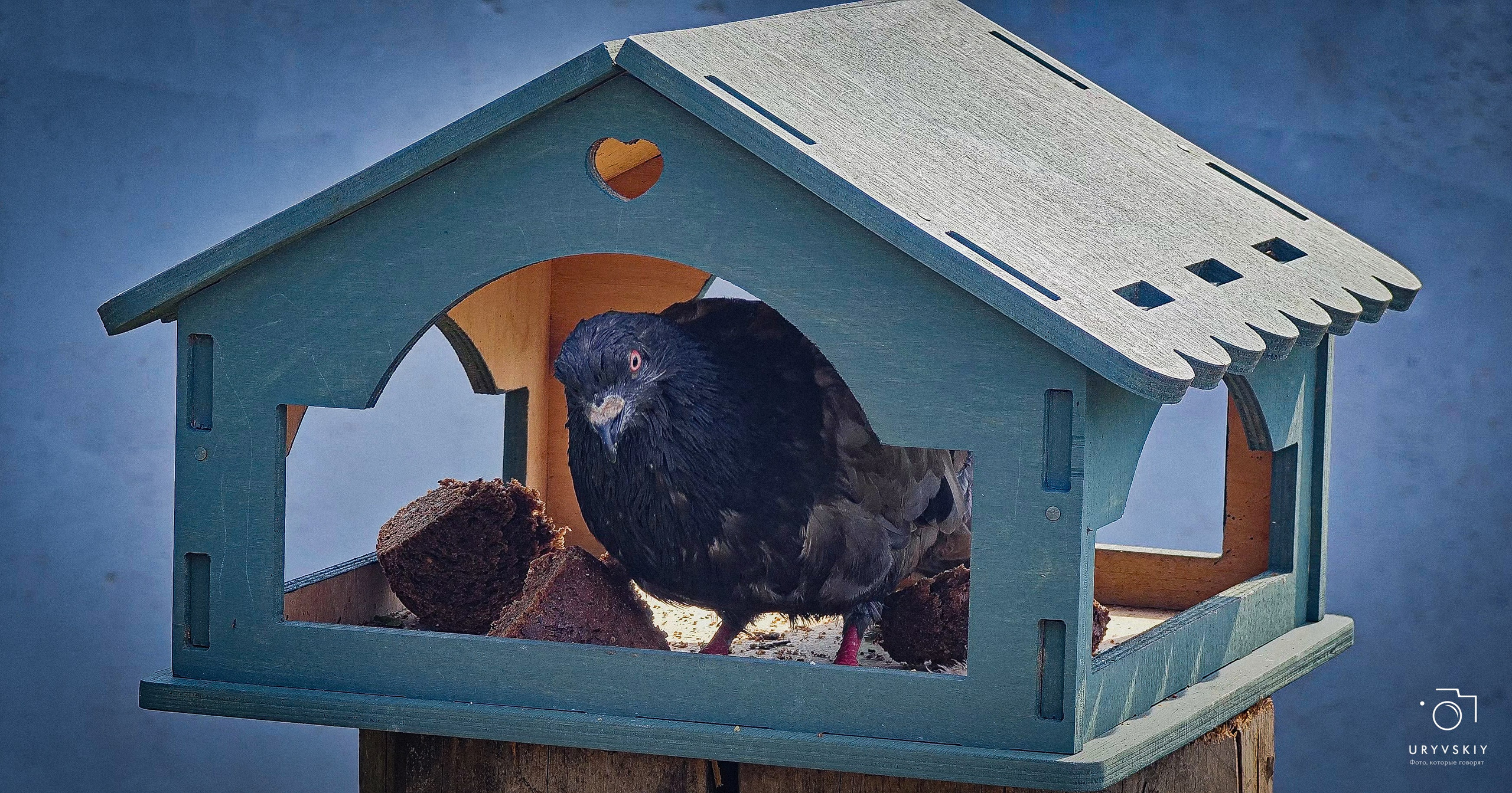 Арт пространство «Хлебзавод». Игорь Урывский. Фотограф Красноярск