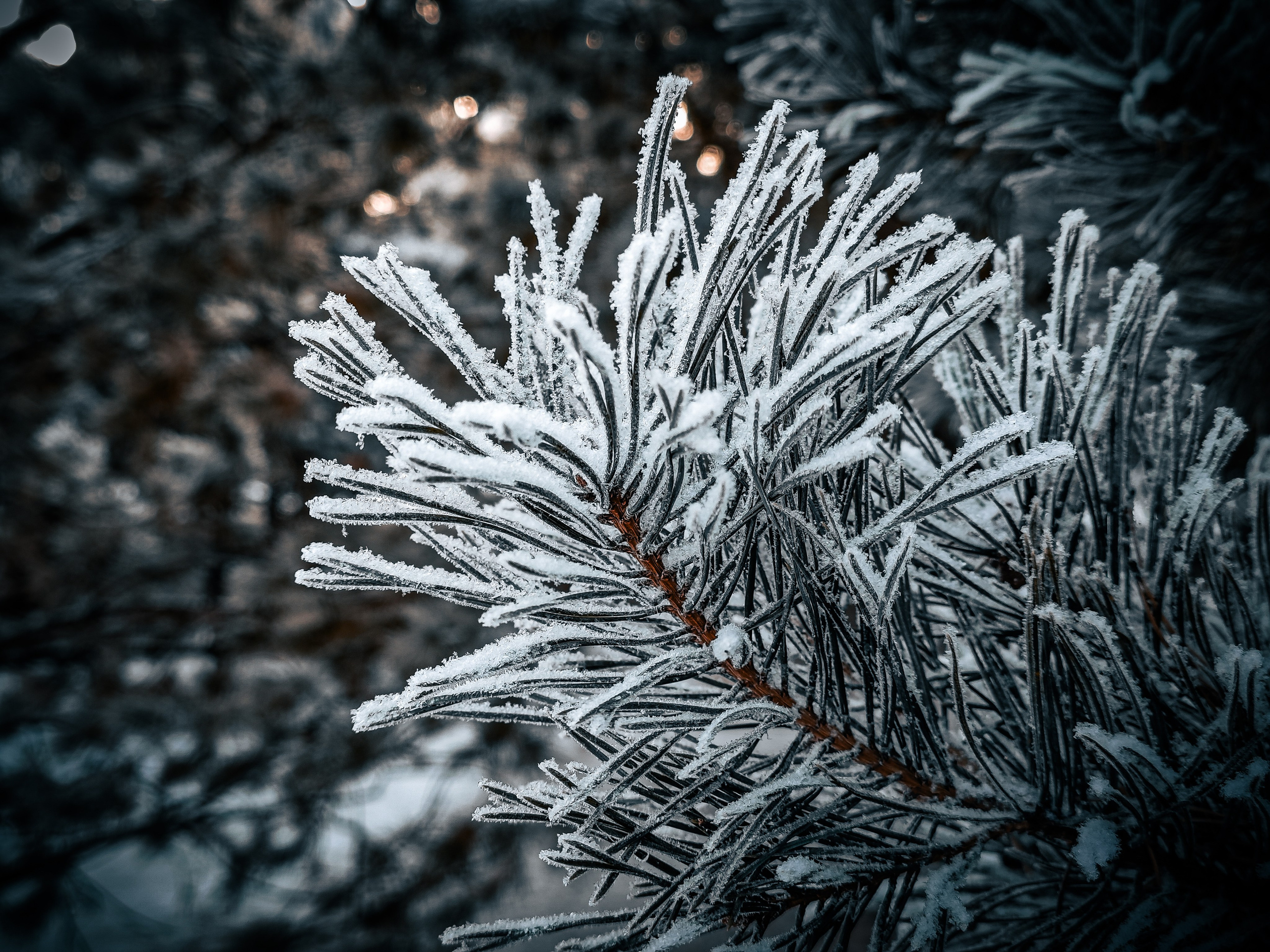 Скоро лето. Игорь Урывский. Фотограф Красноярск