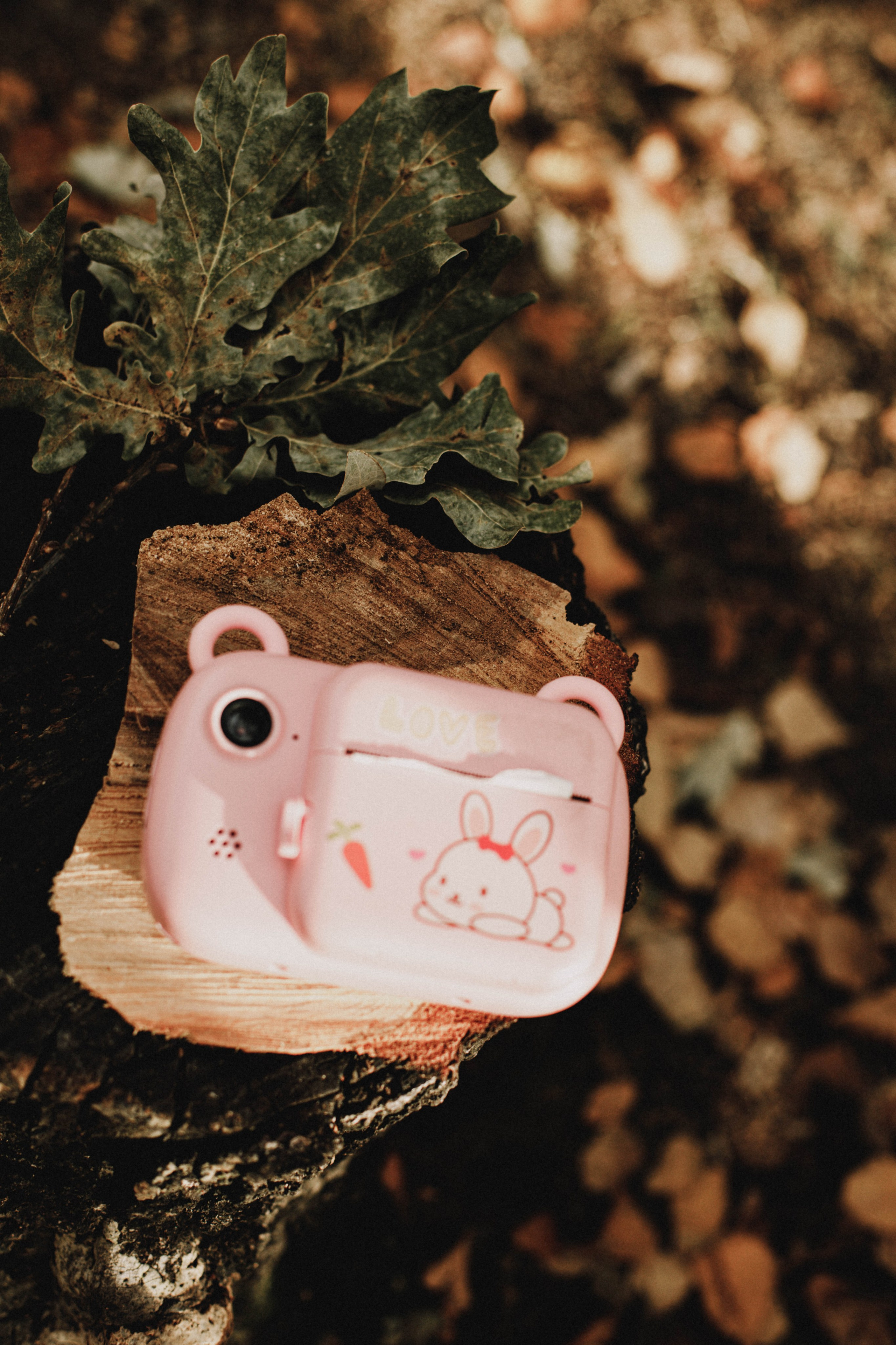 Земснаряд осенний. Фотограф в Нижнем Новгороде