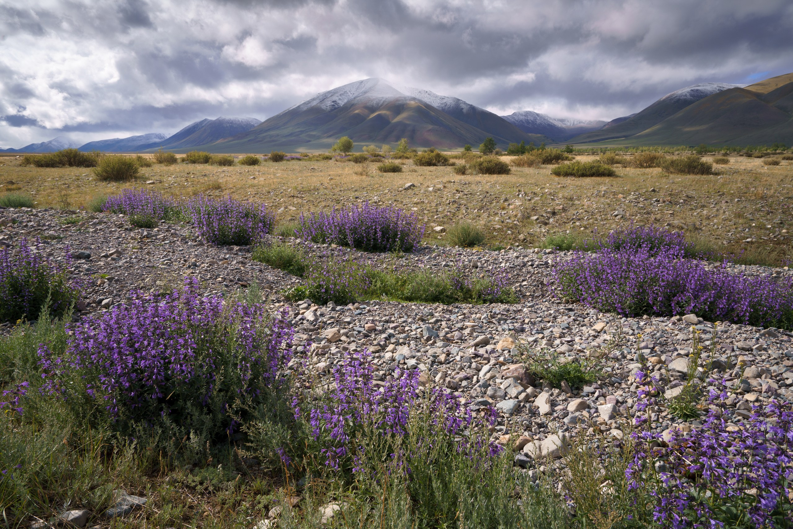 Тува. Фотограф в Красноярске Нерозя Александр. Пейзаж, природа, портрет