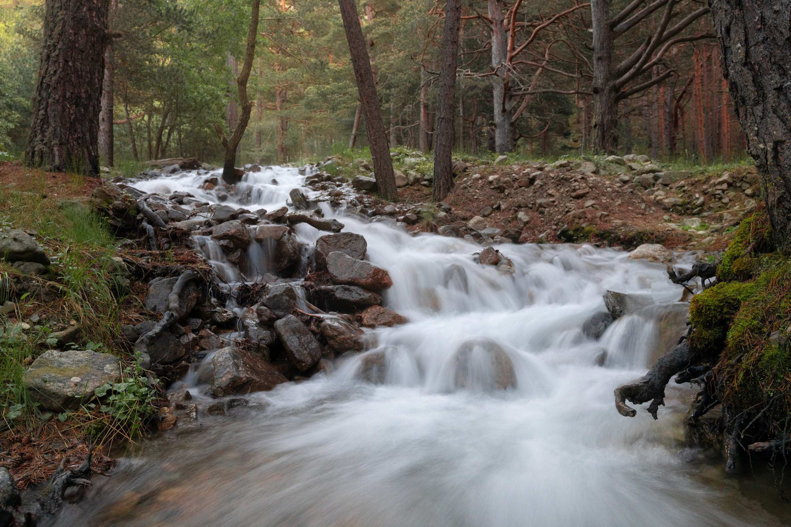 Кавказ. Фотограф в Красноярске Нерозя Александр. Пейзаж, природа, портрет
