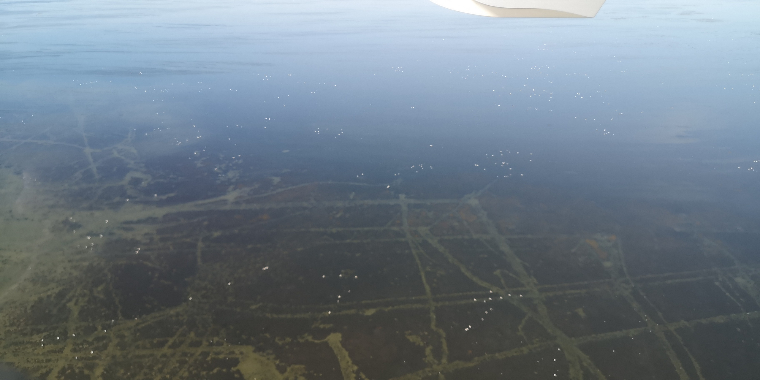 Каспийское море (наука на Ла-8) (2021 г.). Фотоальбом показывающий увлекательный мир авиации и мир медведей Андрея Иванова