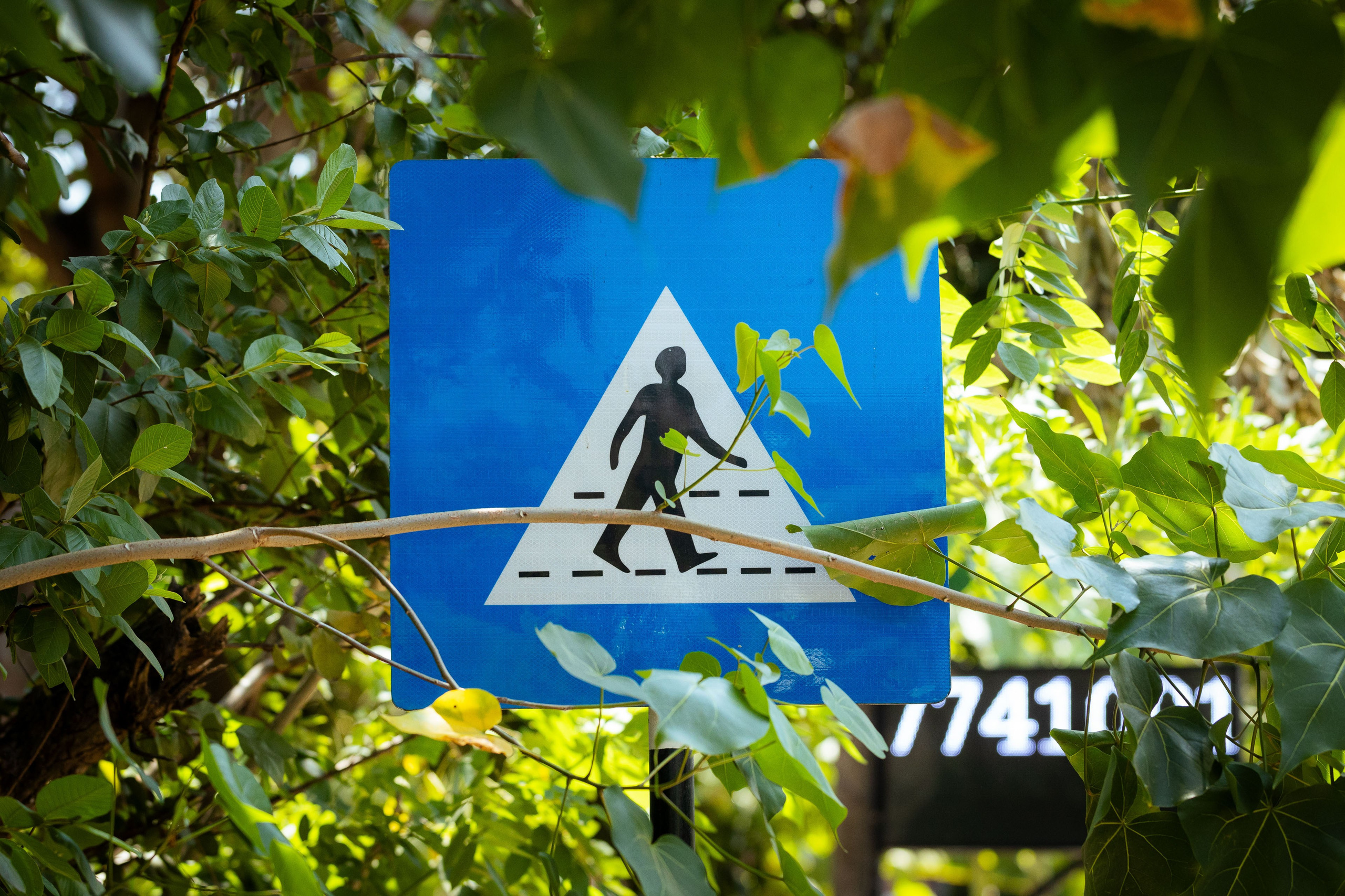 Шри-Ланка (весна 2024). Фотограф Виноградов Константин