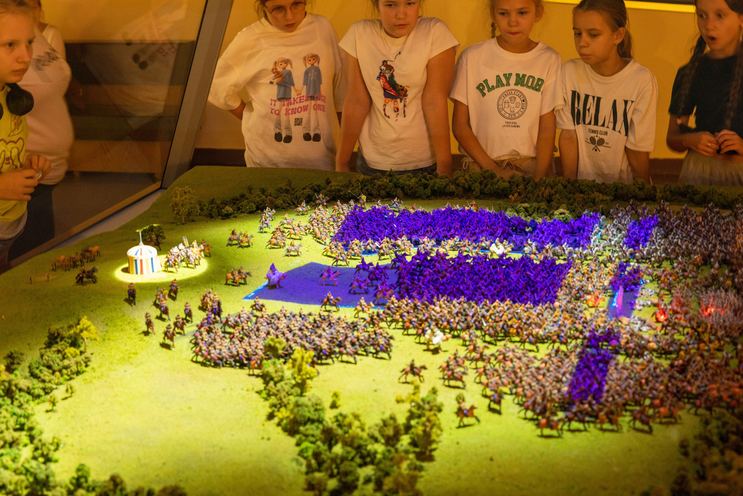 Поездка на поле Кулеково. Фотограф в Туле Крупский АнДРей. Фотостудия «КАДР71» в Туле