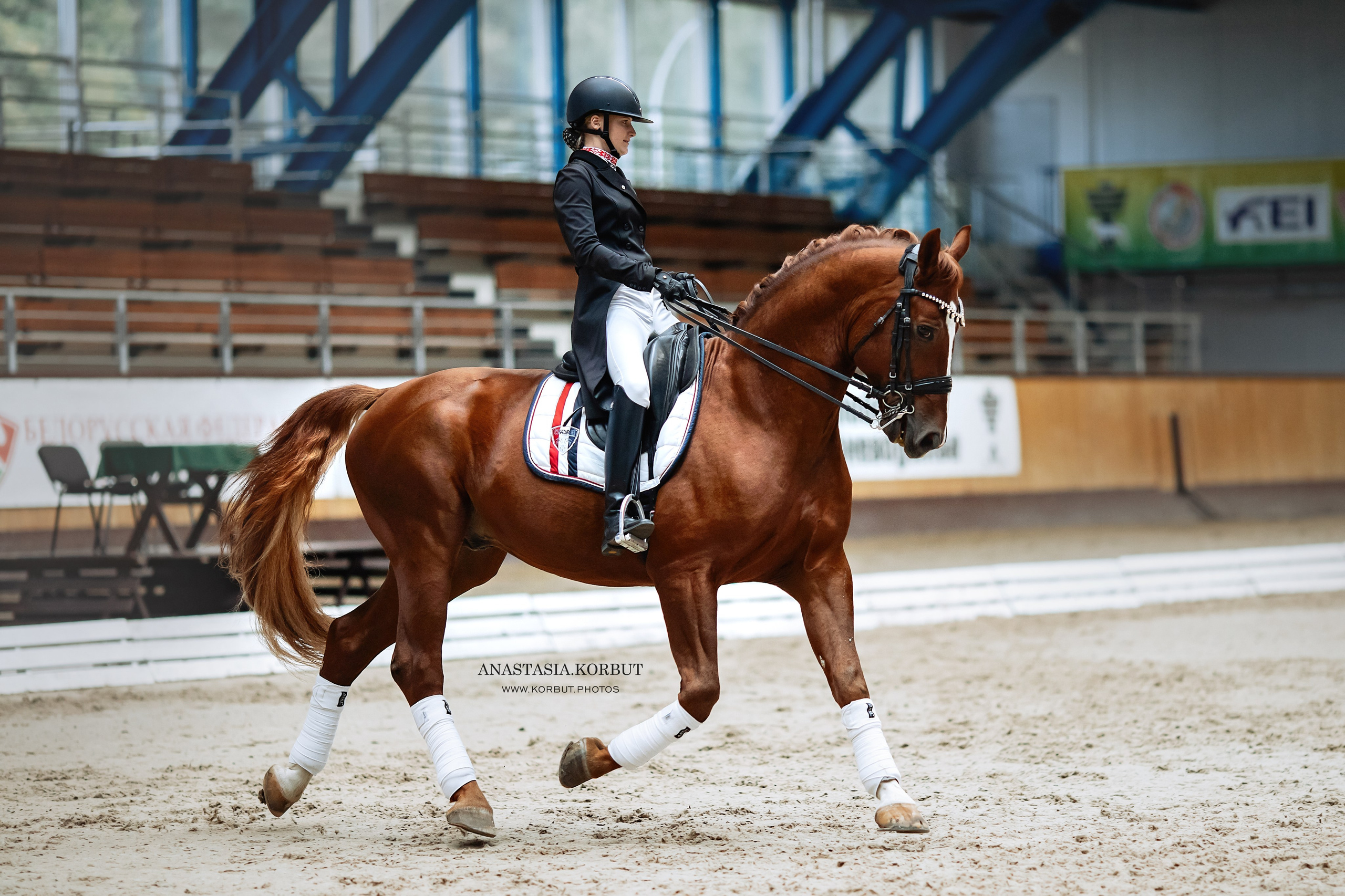 Звезды Евразии MAXIMA MASTERS. Арт фотограф в Минске Анастасия Корбут