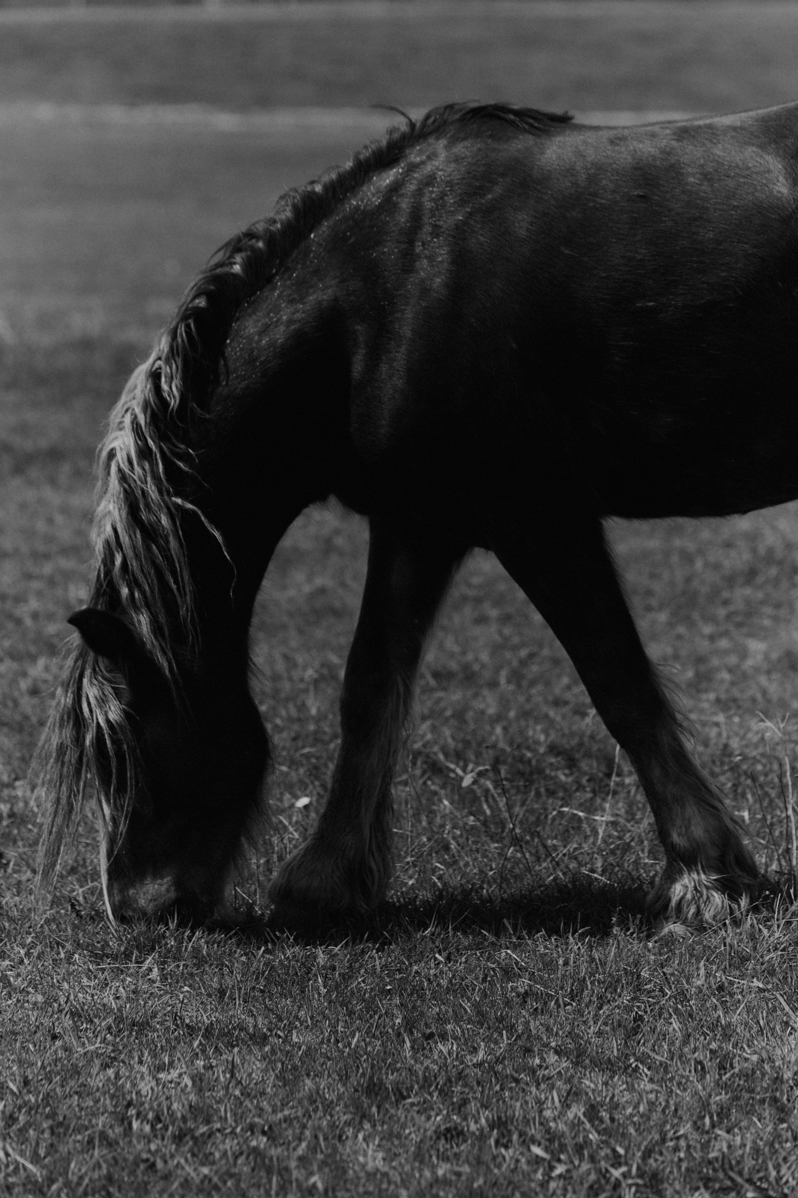 BAON x Кудыкина Гора. Фотограф Сурков Никита