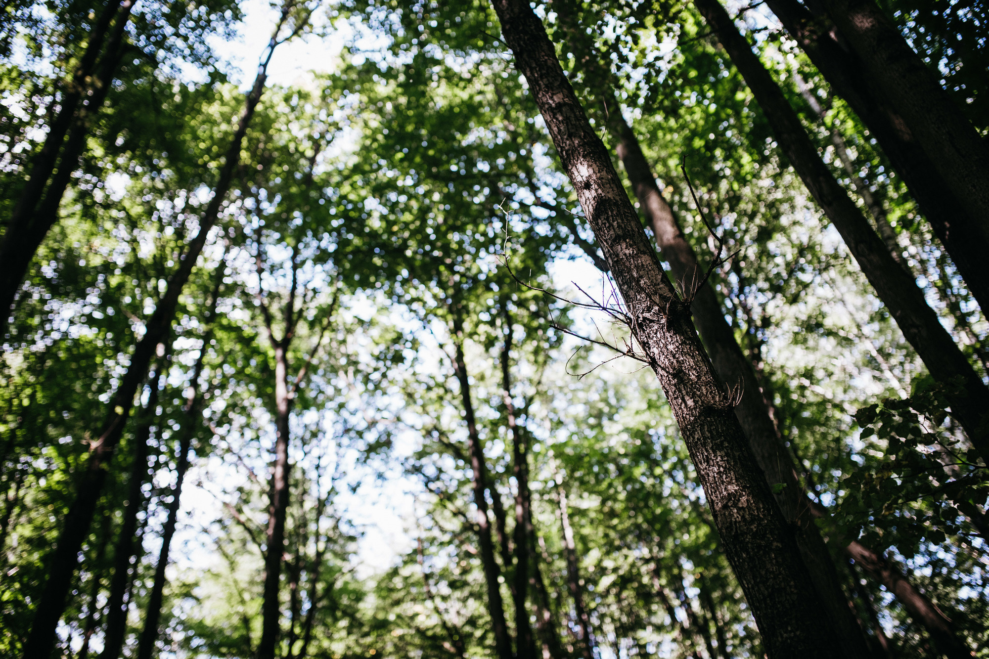 Денис и Наташа. Фотограф Игнат Купряшин