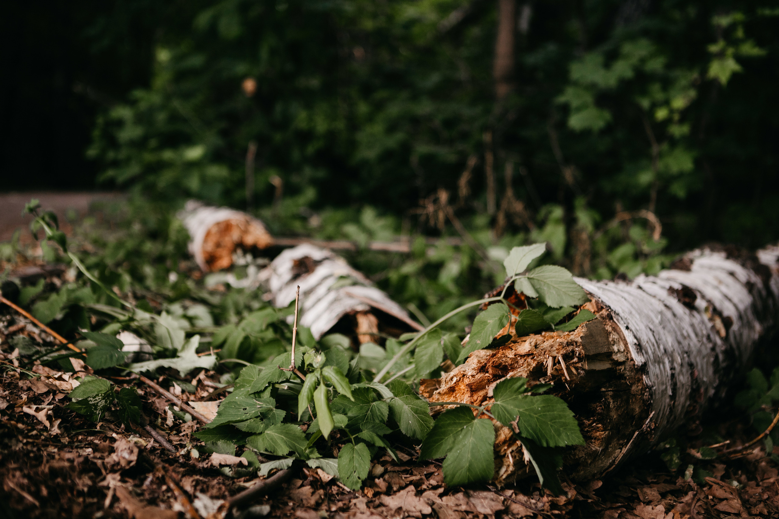 Катя и Саша. Фотограф Игнат Купряшин