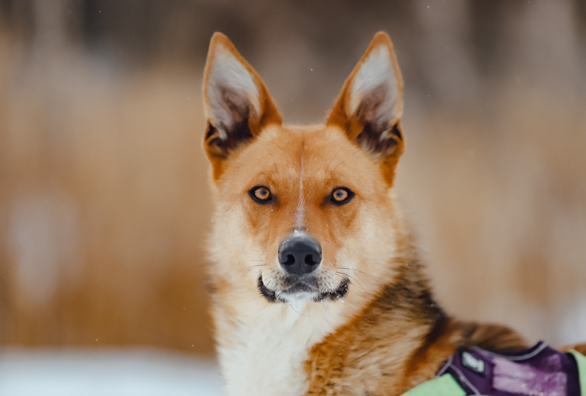 Отзывы. Фотограф Варвара Ермоленко