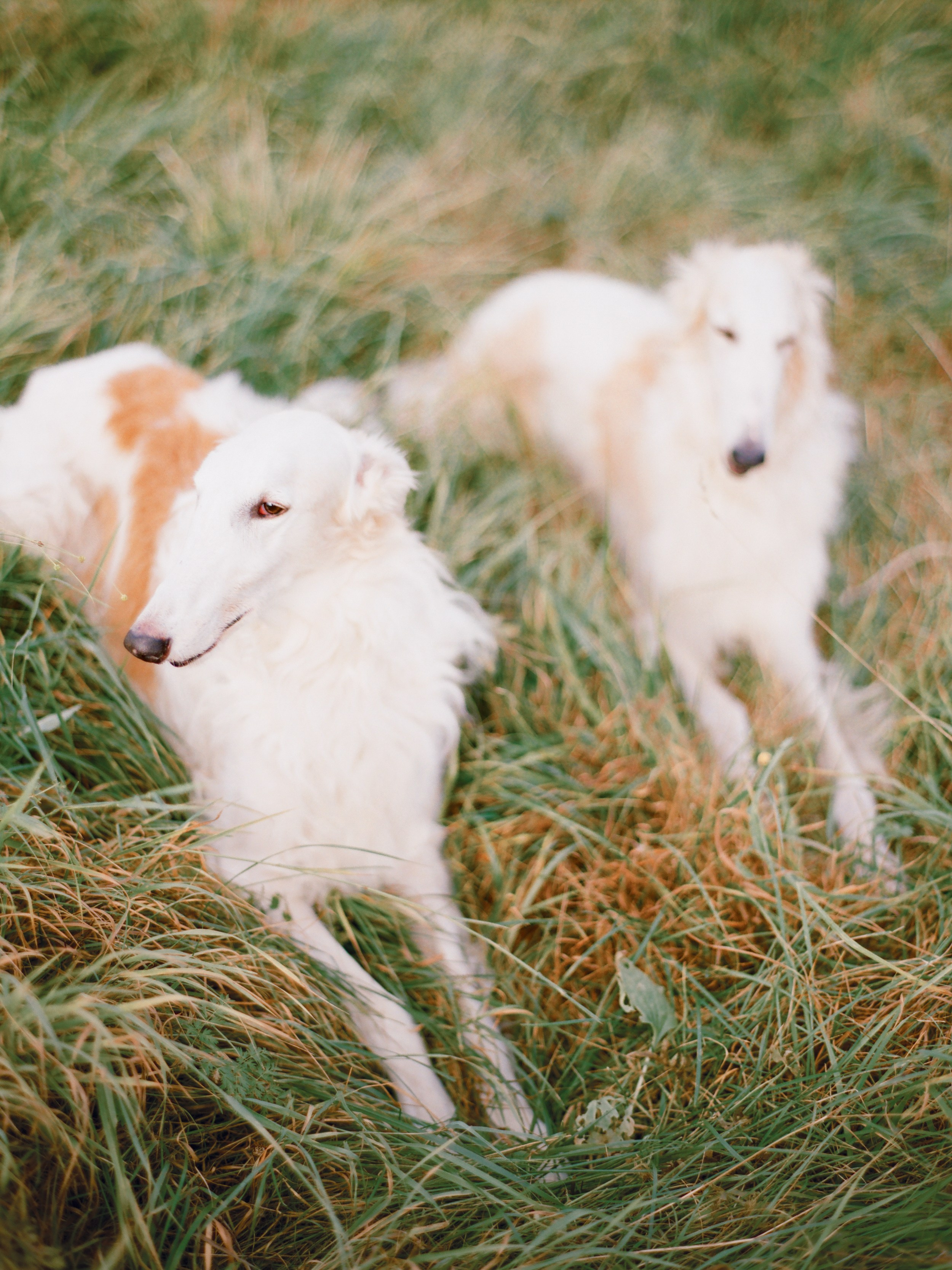 Съемка в русском стиле. Вдохновение. Изящная фотография | Ксения Милушкина