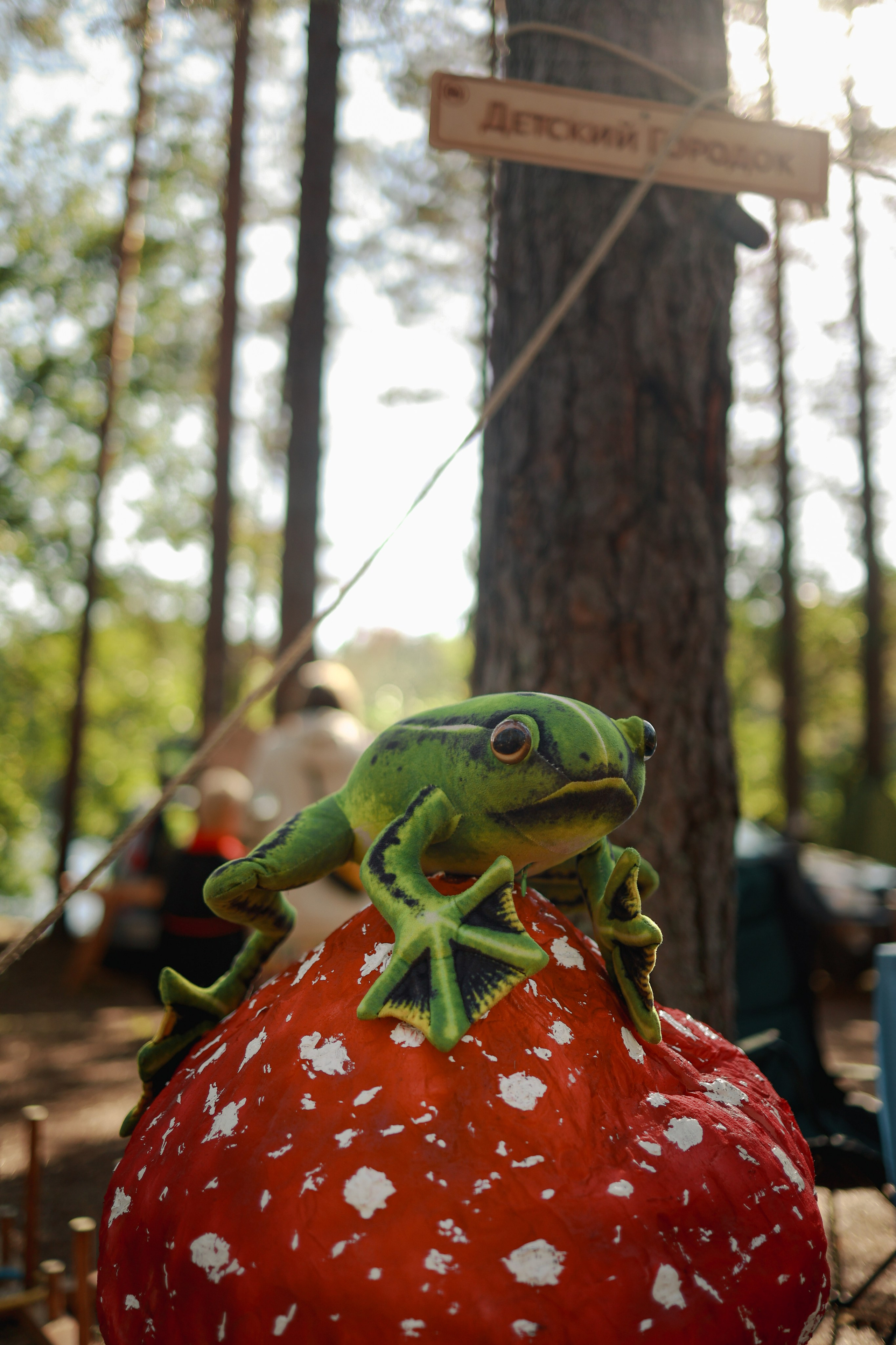 Фестиваль Hello Camper закрытие 2024. Репортажный и портретный фотограф в Санктпетербурге. Видиосъемка мероприятий в Санкт-Петербурге