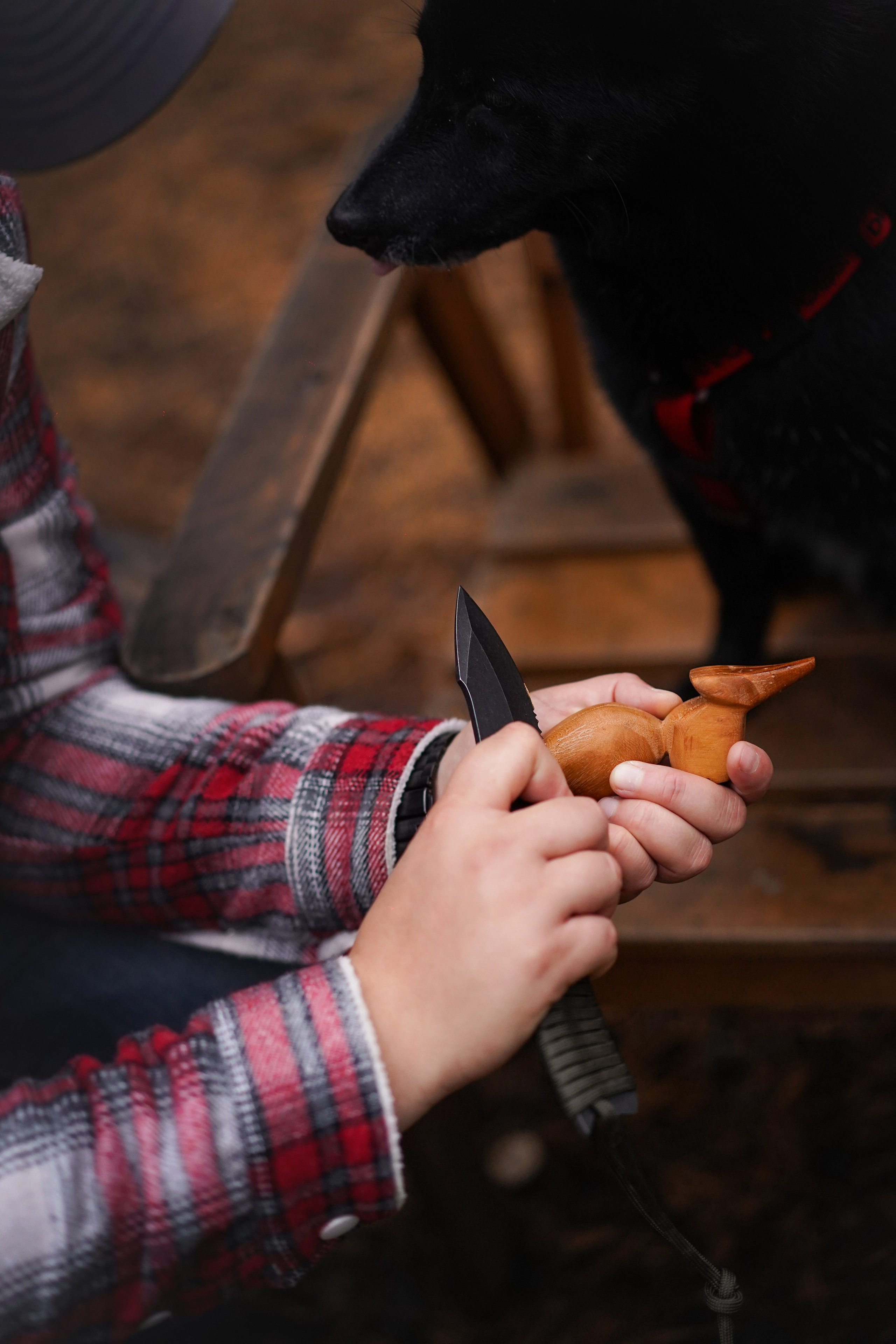 Аня Мишель Арчи и Майкл. Фотограф-анималист в Санкт-Петербурге Яна Мартынова