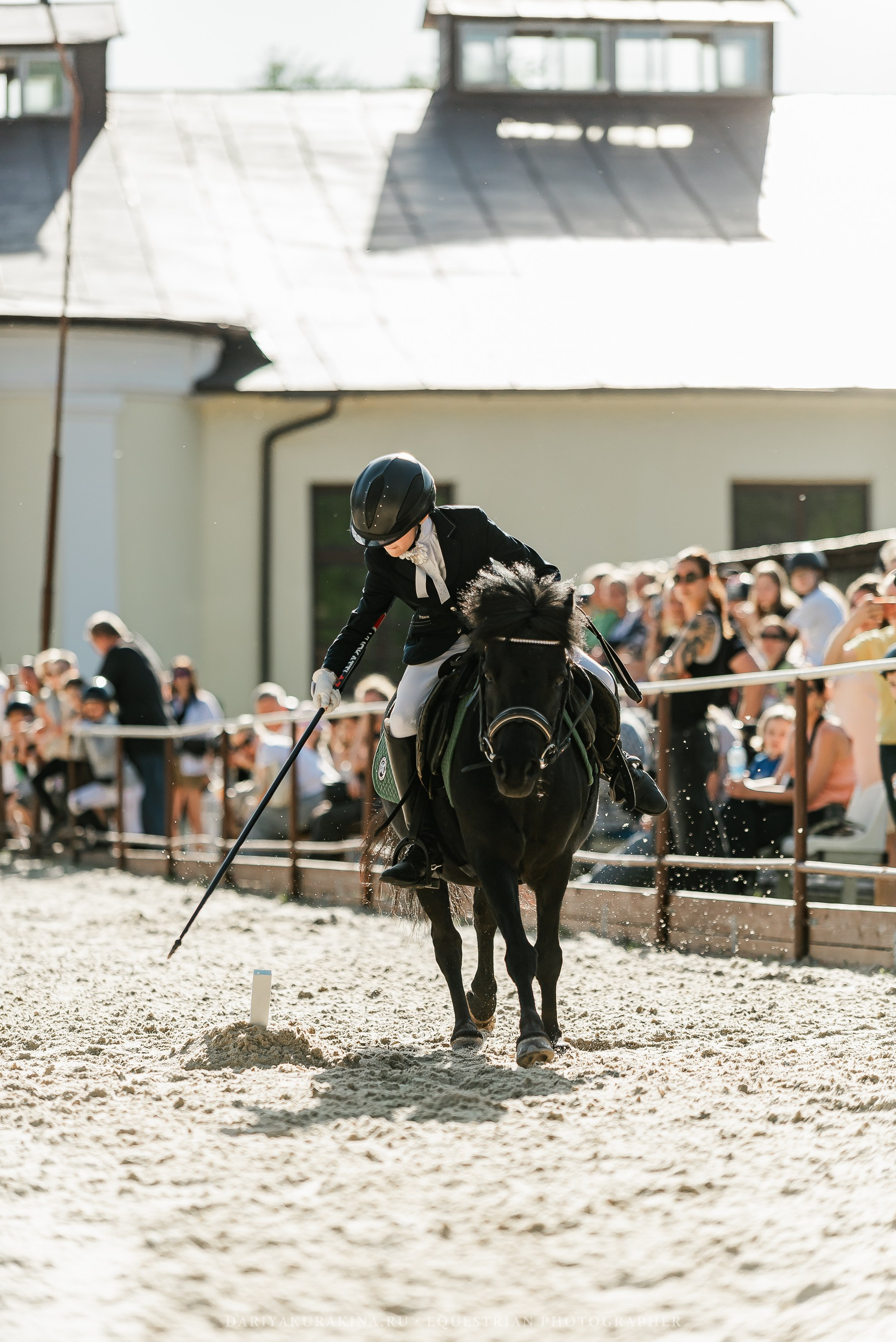 #ПОНИФОРУМ 2024. Конный фотограф Куракина Дарья • Фотосессии с лошадьми