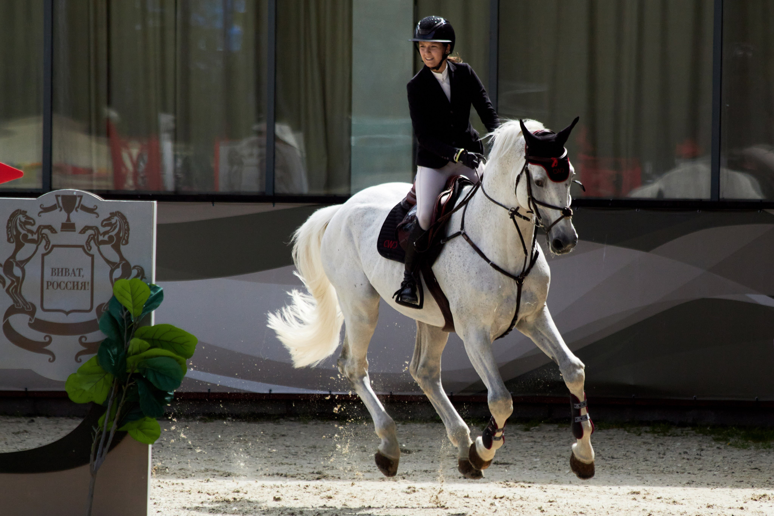 Конкур в «Виват, Россия». Фотограф анималист — Тула, Москва