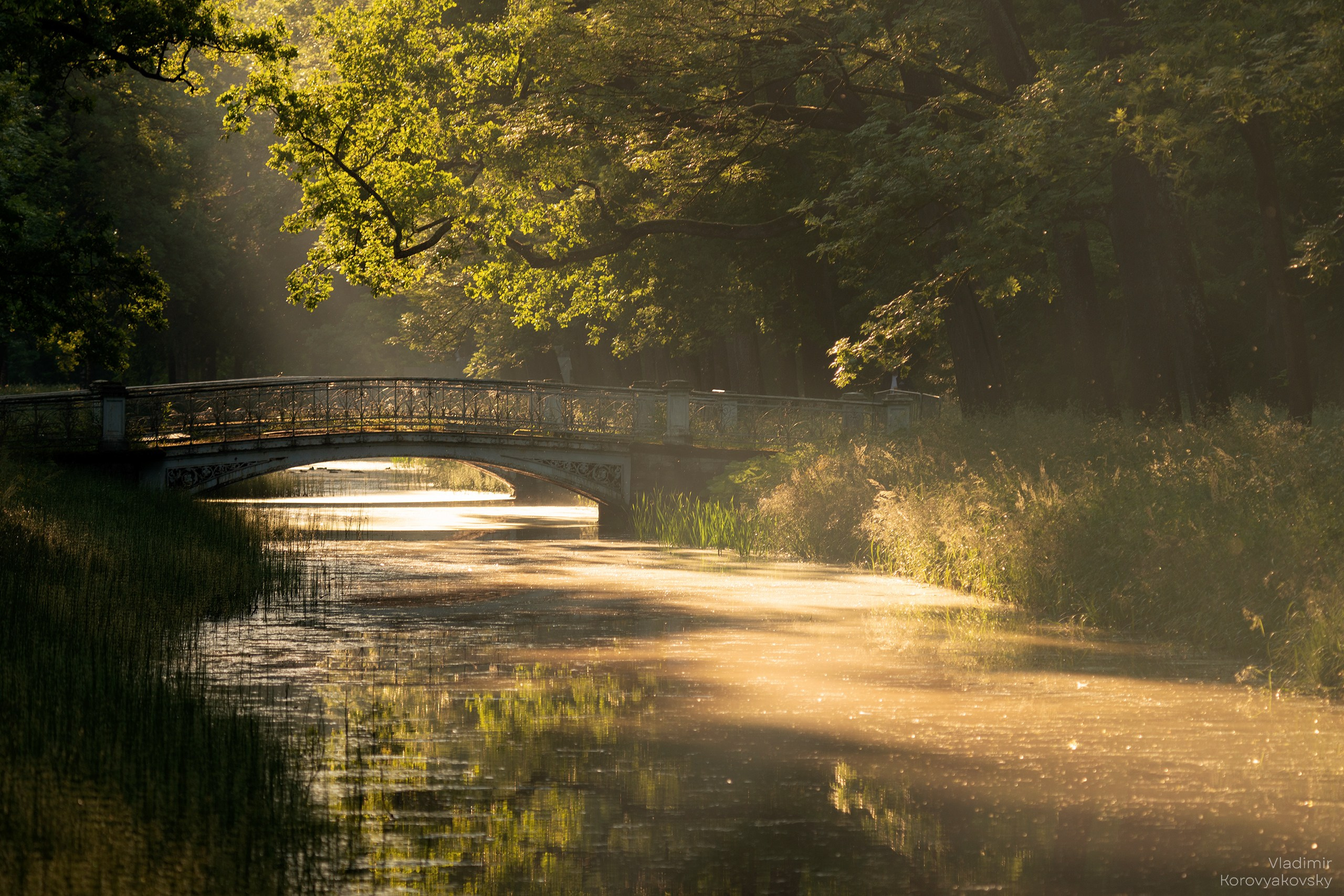 Nature. Photographer Vladimir Korovyakovsky