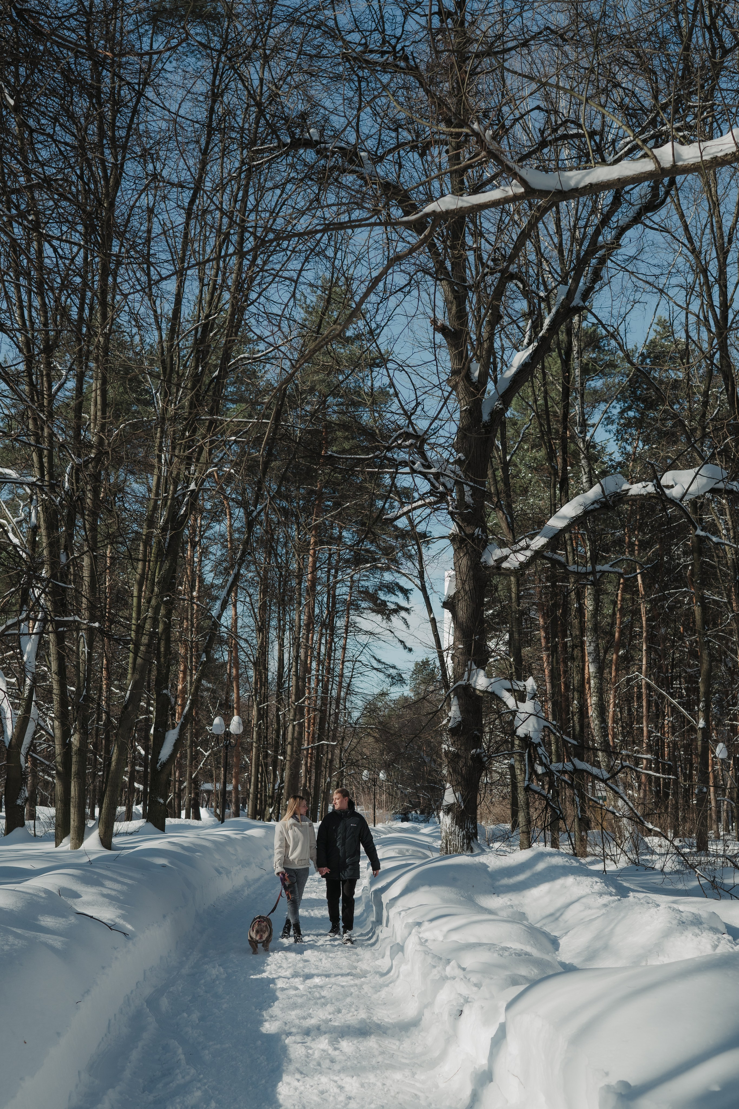 Зимняя LOVE STORY Вики, Артёма и Булочки. Семейный Фотограф в Москве Ирина Хохлова