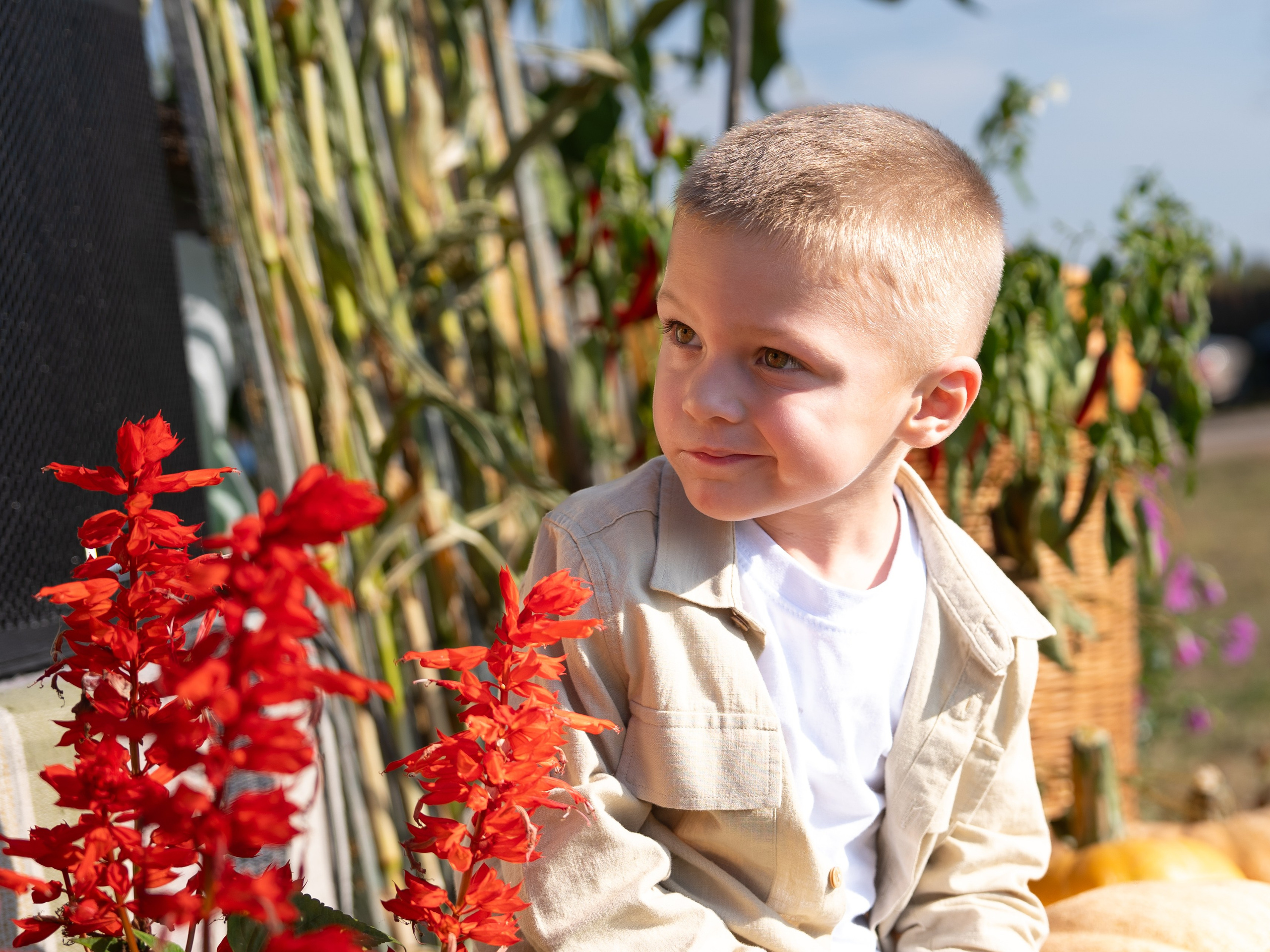 Ярмарка. Фотограф Наталья Сорока Ижевск